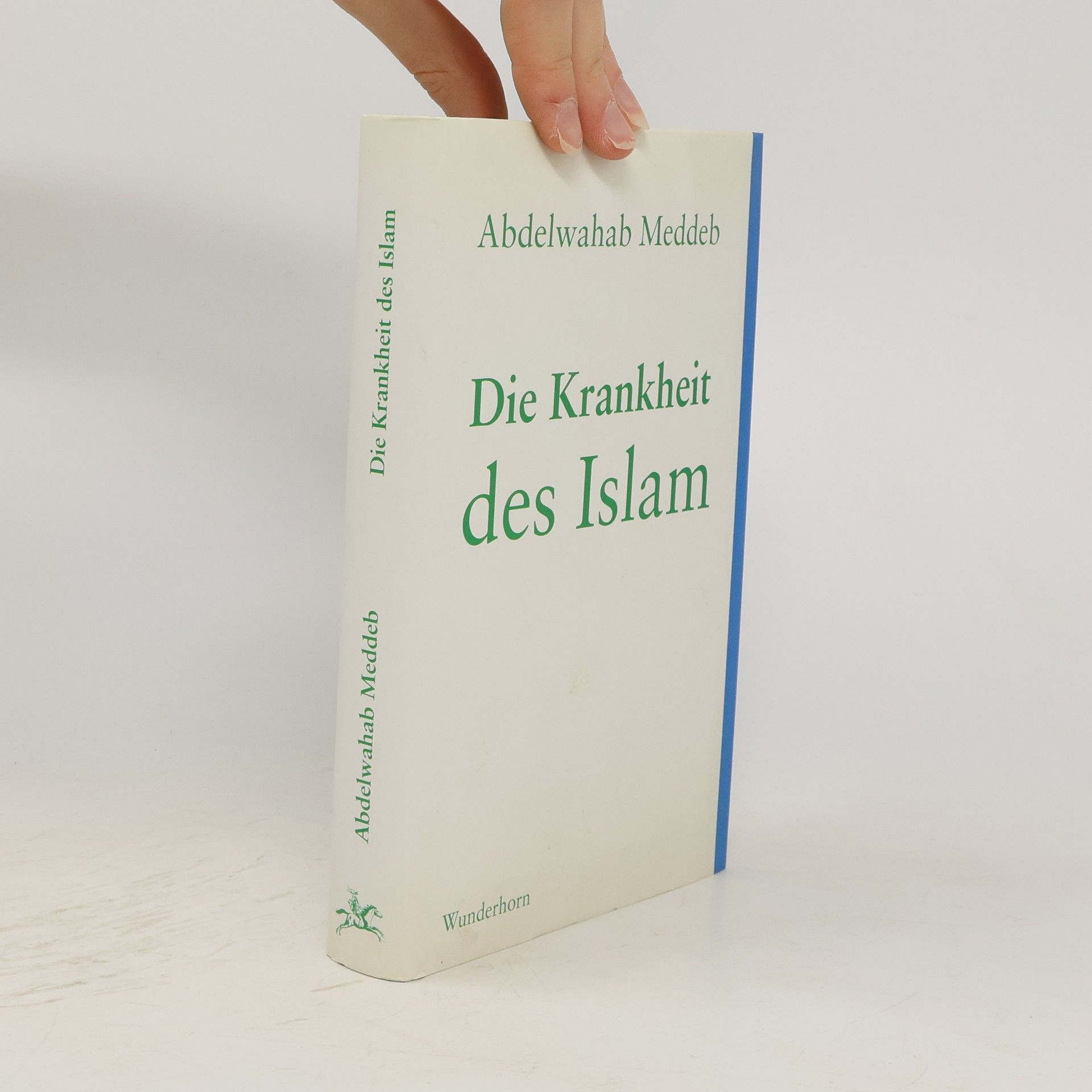 Abdelwahab Meddeb Die Krankheit des Islam