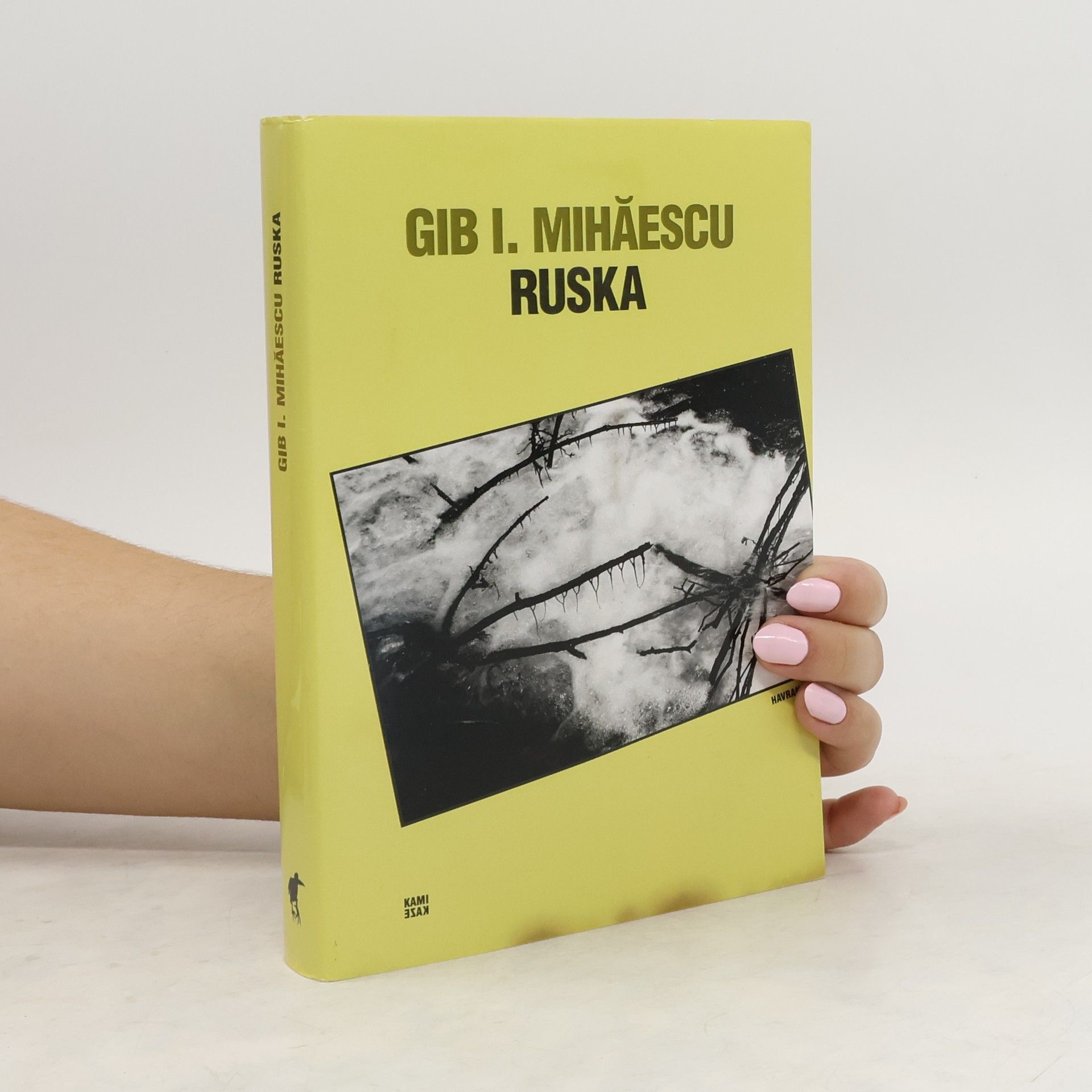 Gib I. Mihăescu Ruska. Strážní stanoviště poručíka Ragaiaca na Dněstru