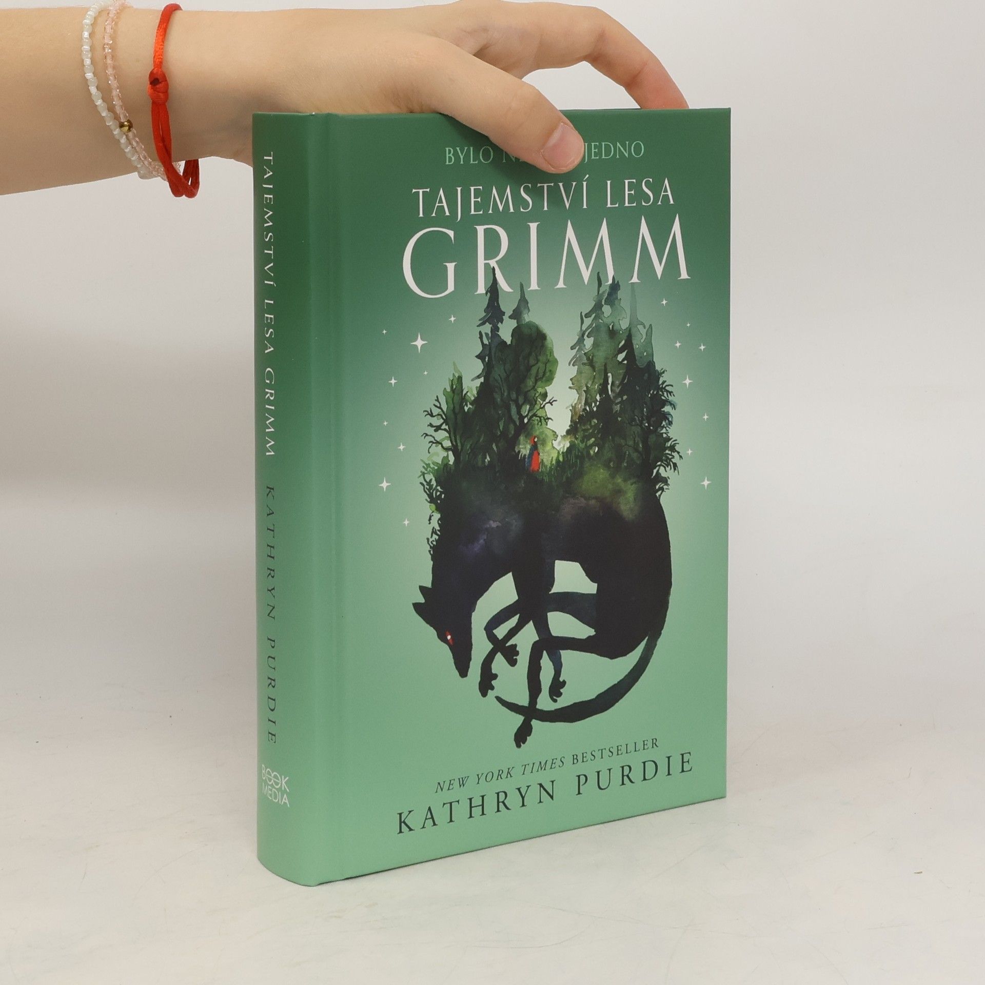Kathryn Purdie Tajemství lesa Grimm