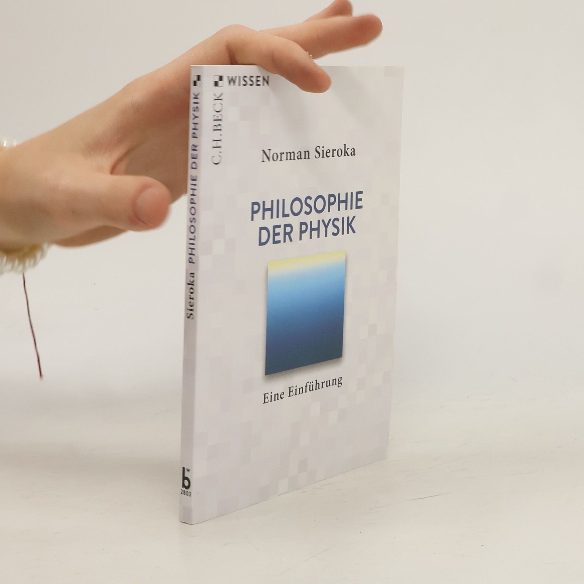 Norman Sieroka Philosophie der Physik