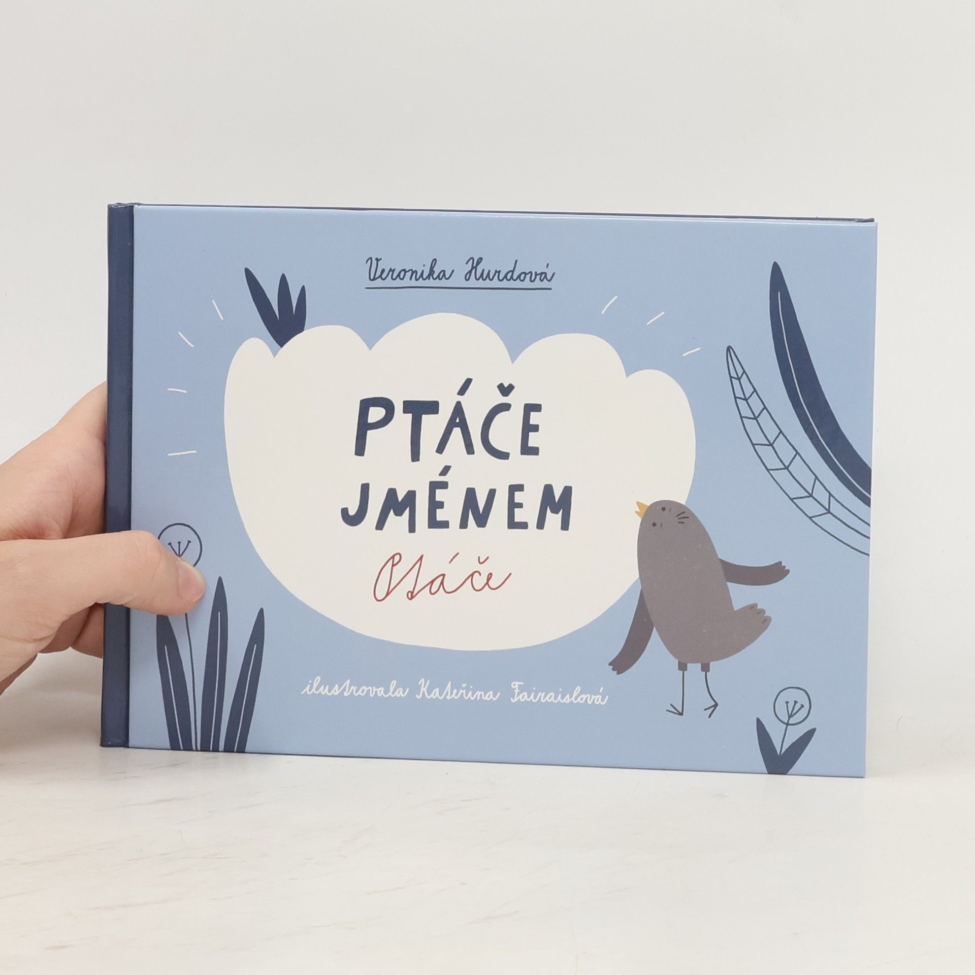 Veronika Hájek Hurdová Ptáče jménem Ptáče