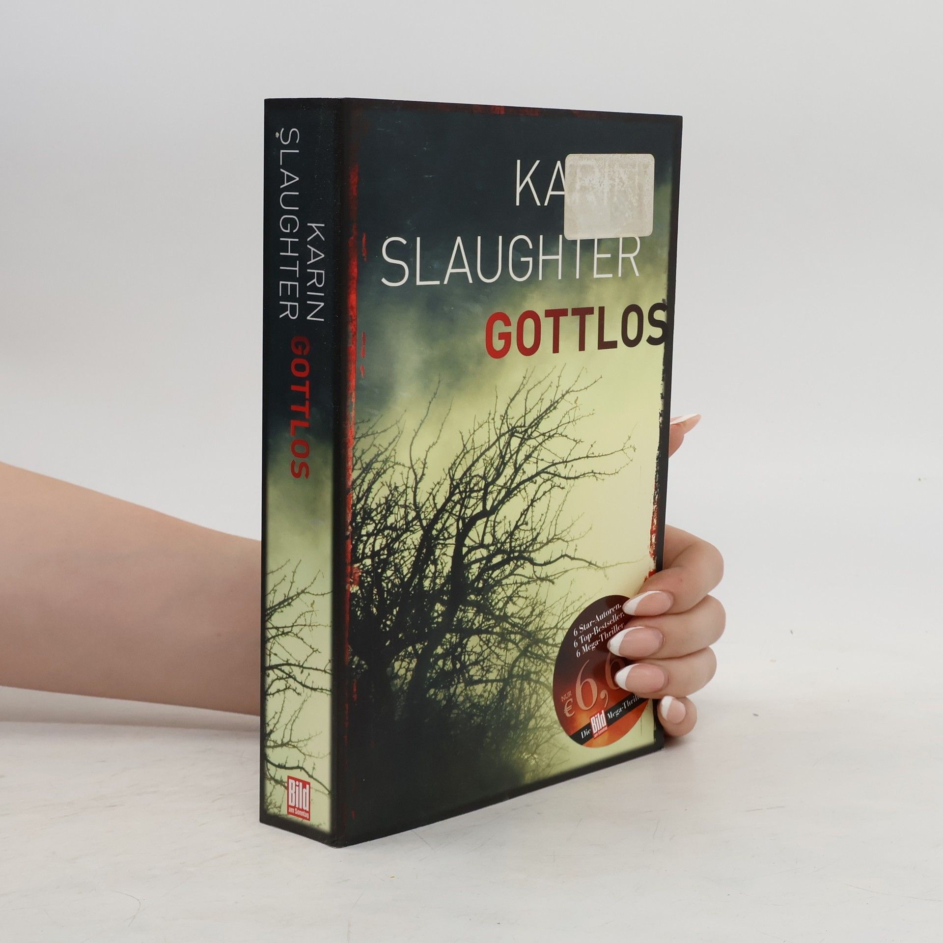 Karin Slaughter Gottlos