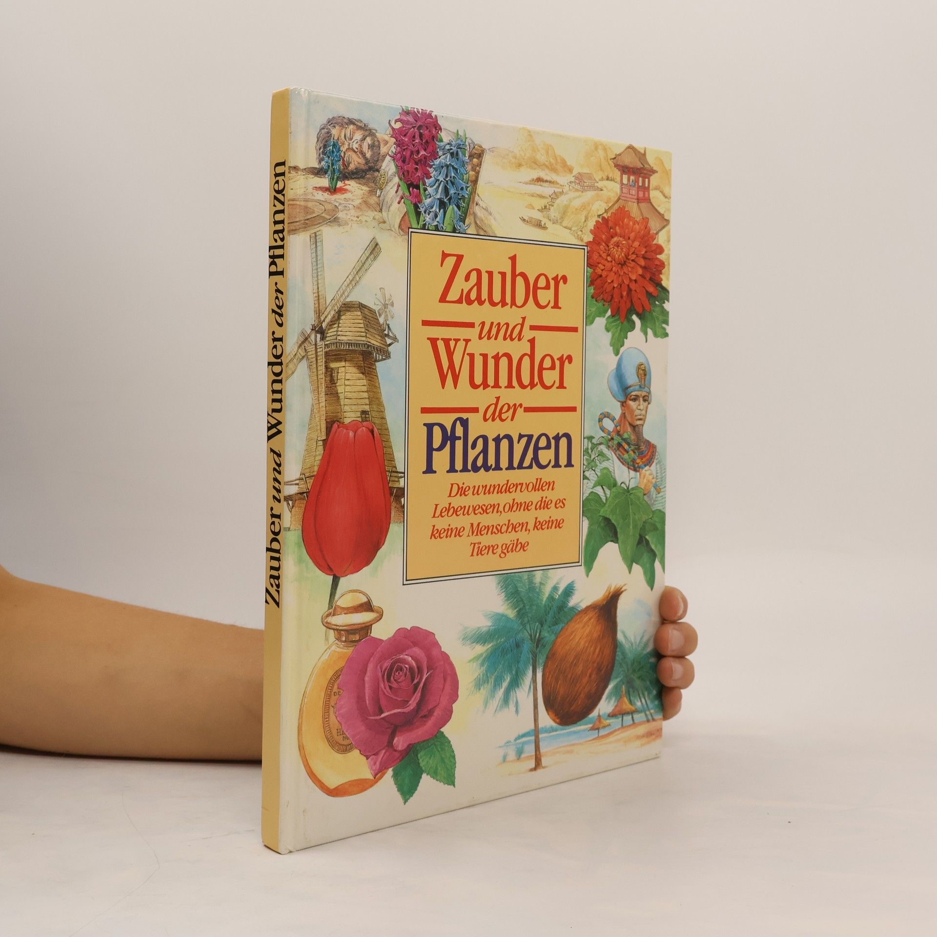 Autorenkollektiv Zauber und wunder der Pflanzen