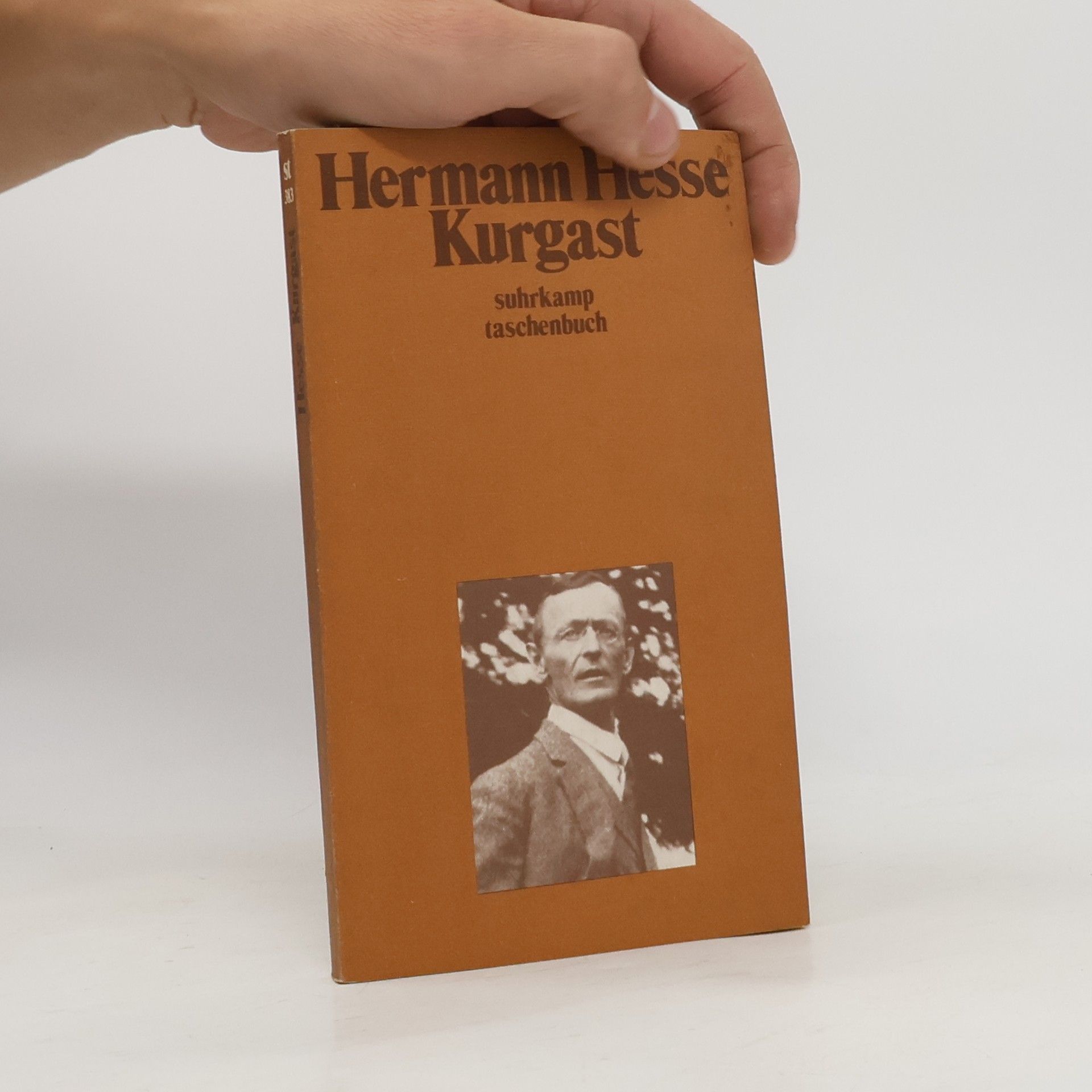 Hermann Hesse Kurgast