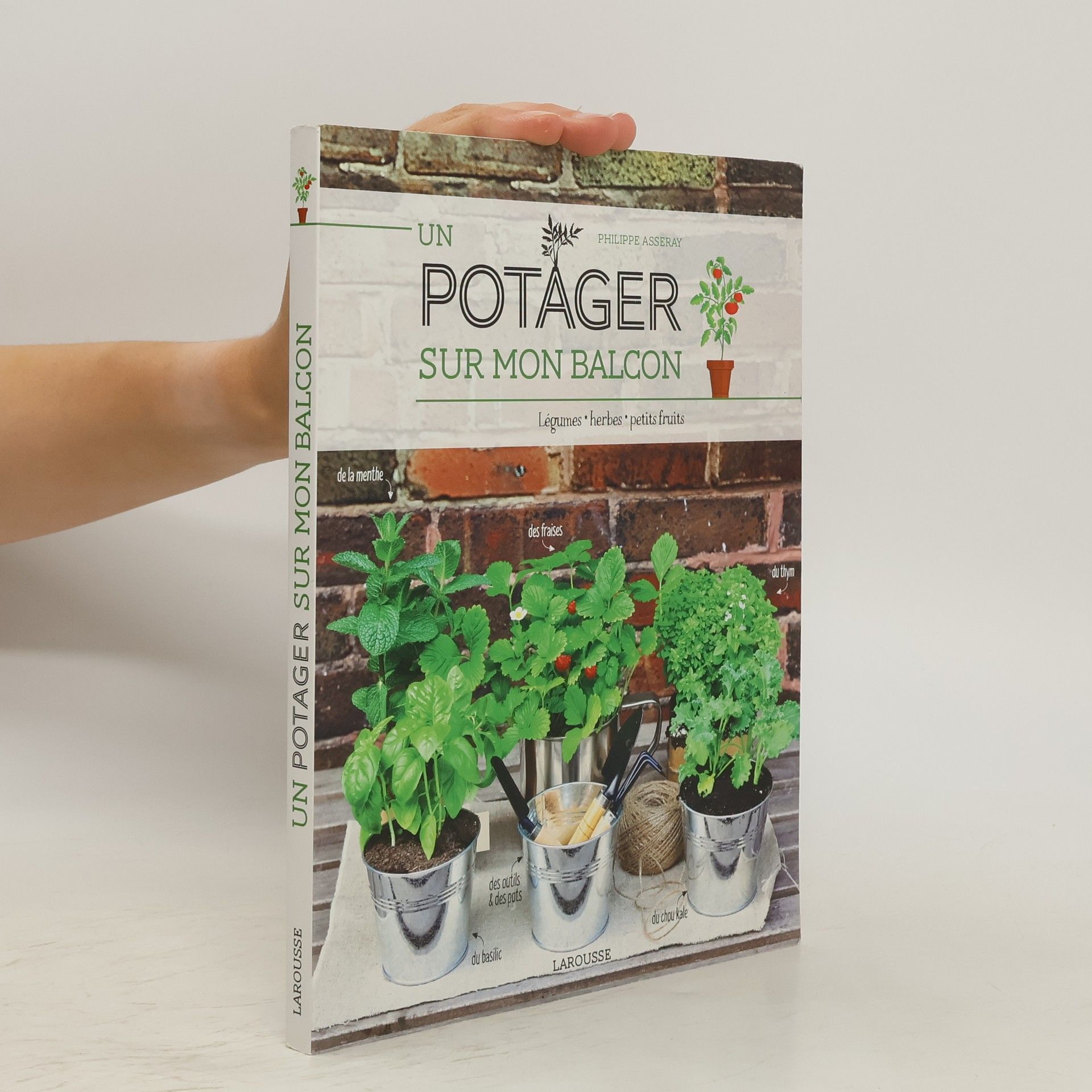 Philippe Asseray Un potager sur mon balcon