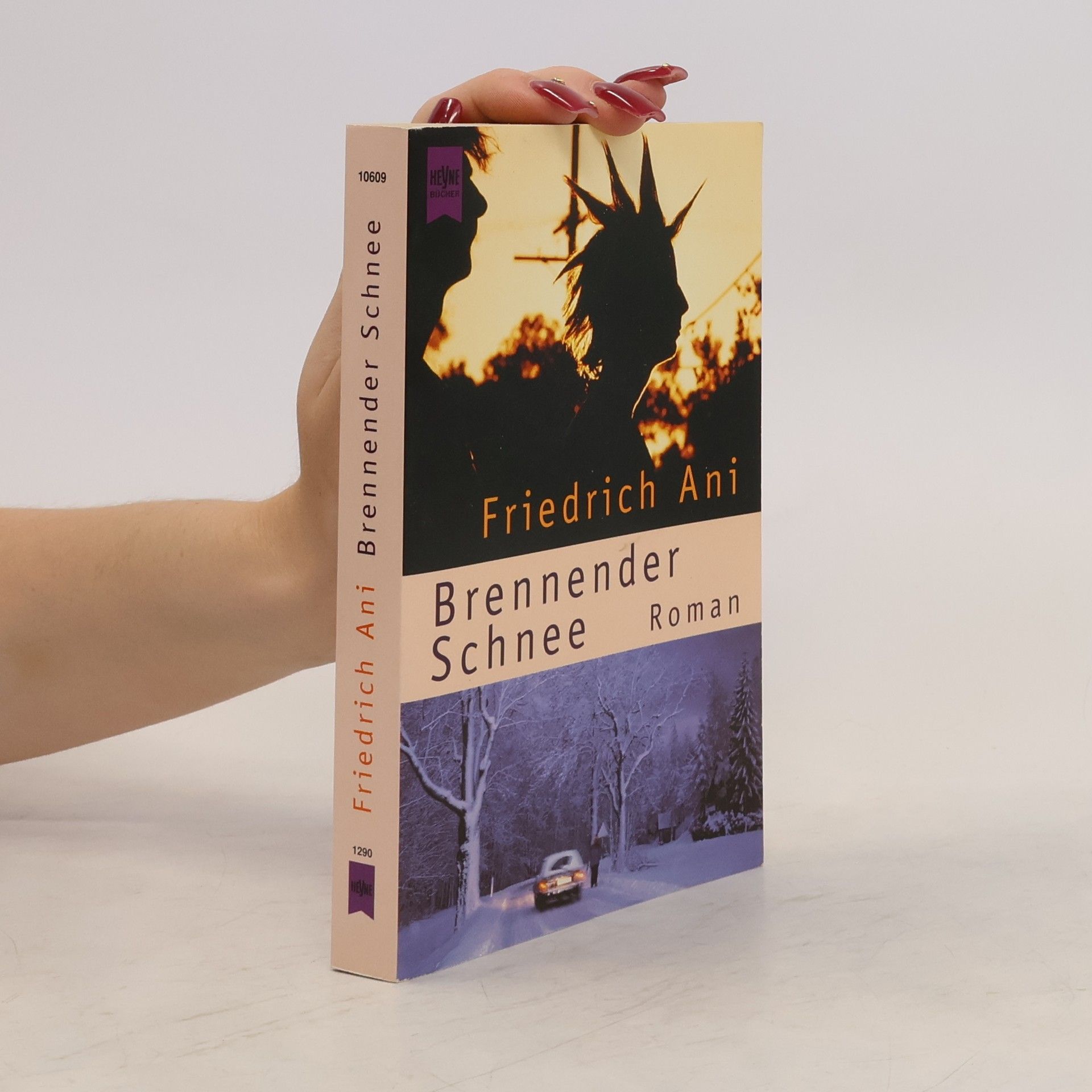 Friedrich Ani Brennender Schnee. Roman