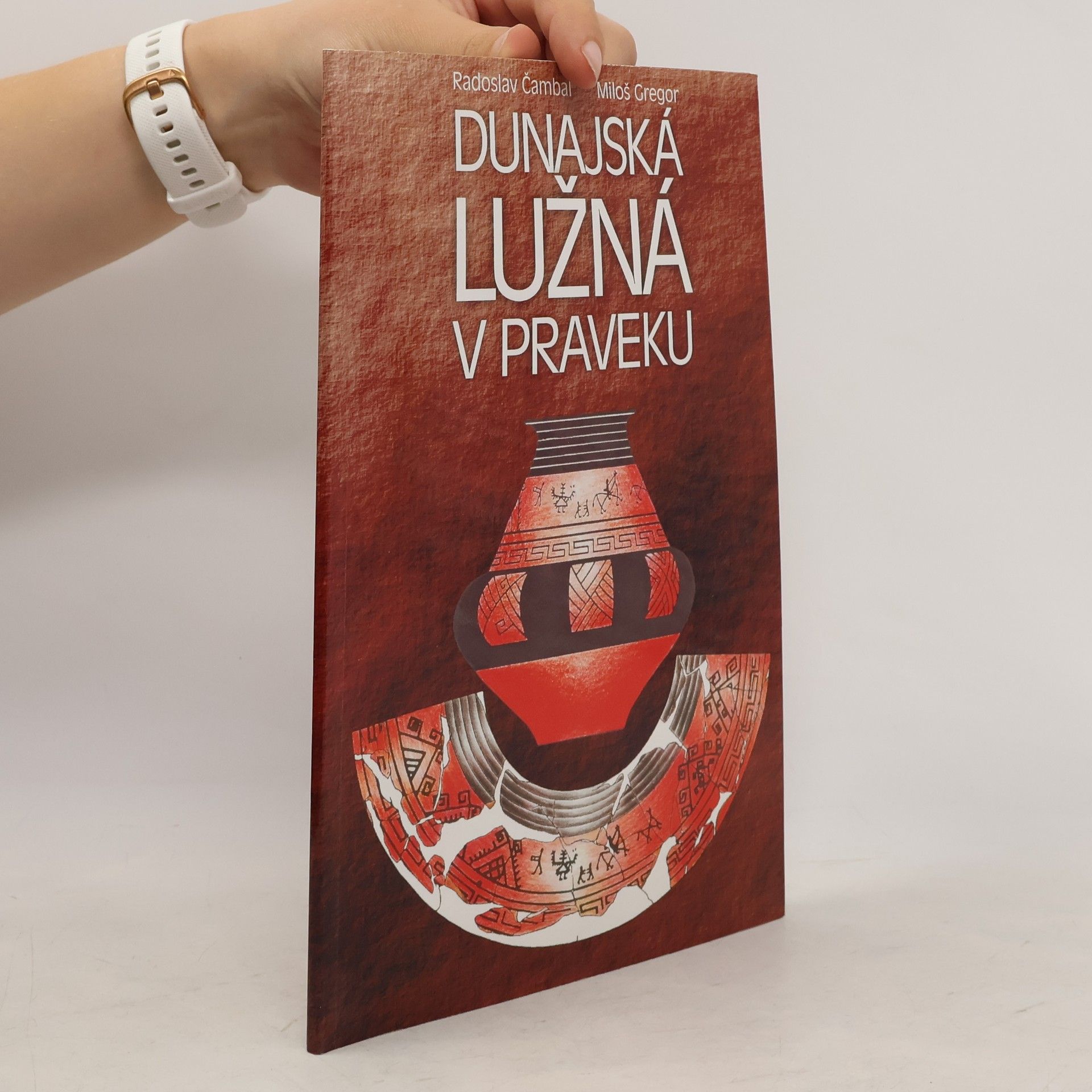 Radoslav Čambal Dunajská Lužna v praveku