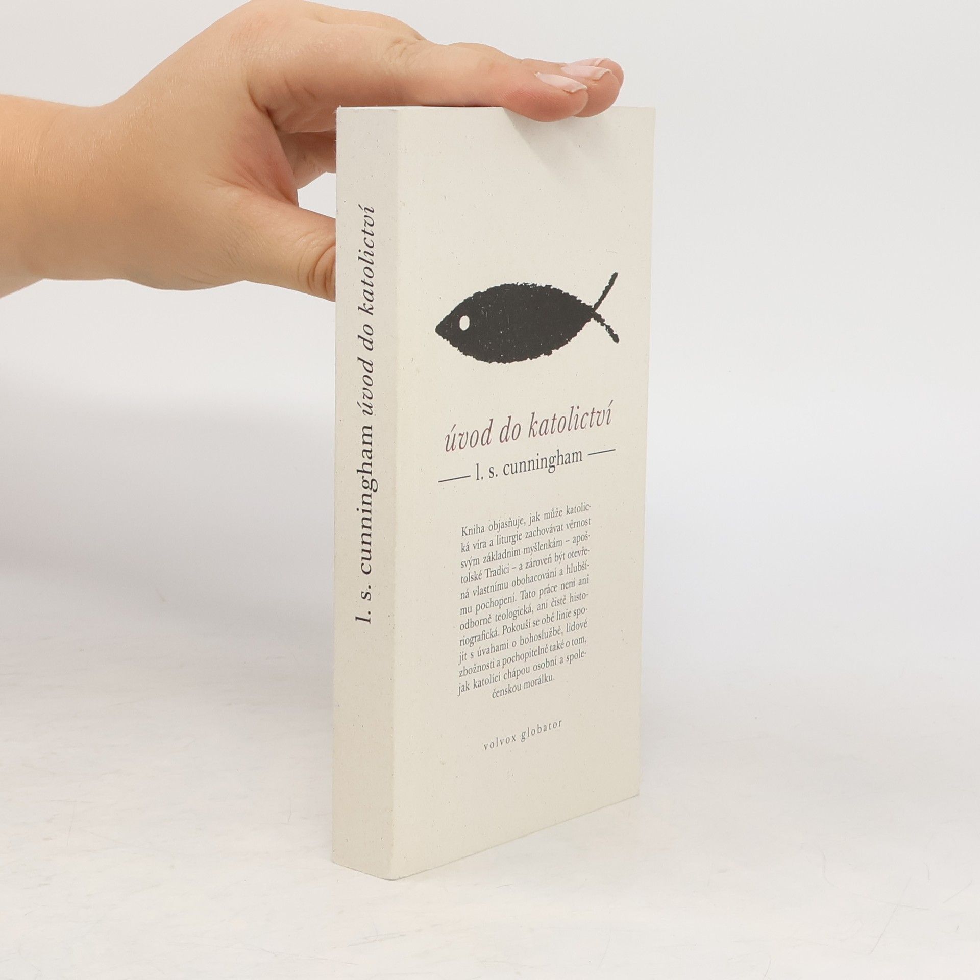 Lawrence S. Cunningham Úvod do katolictví