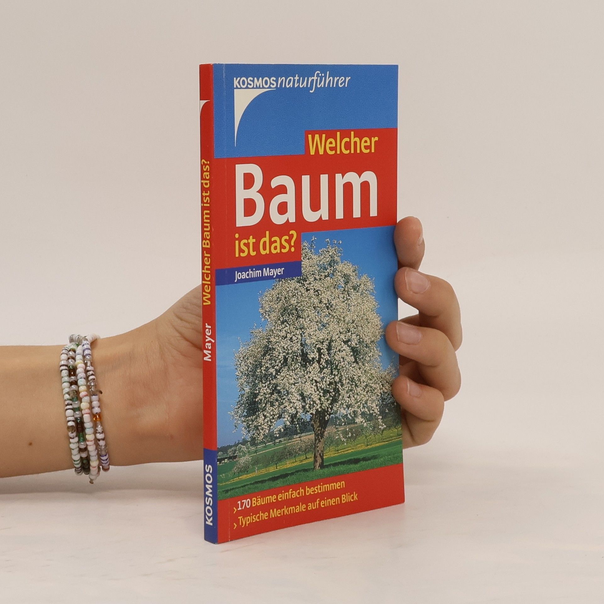 Joachim Mayer Welcher Baum ist das?