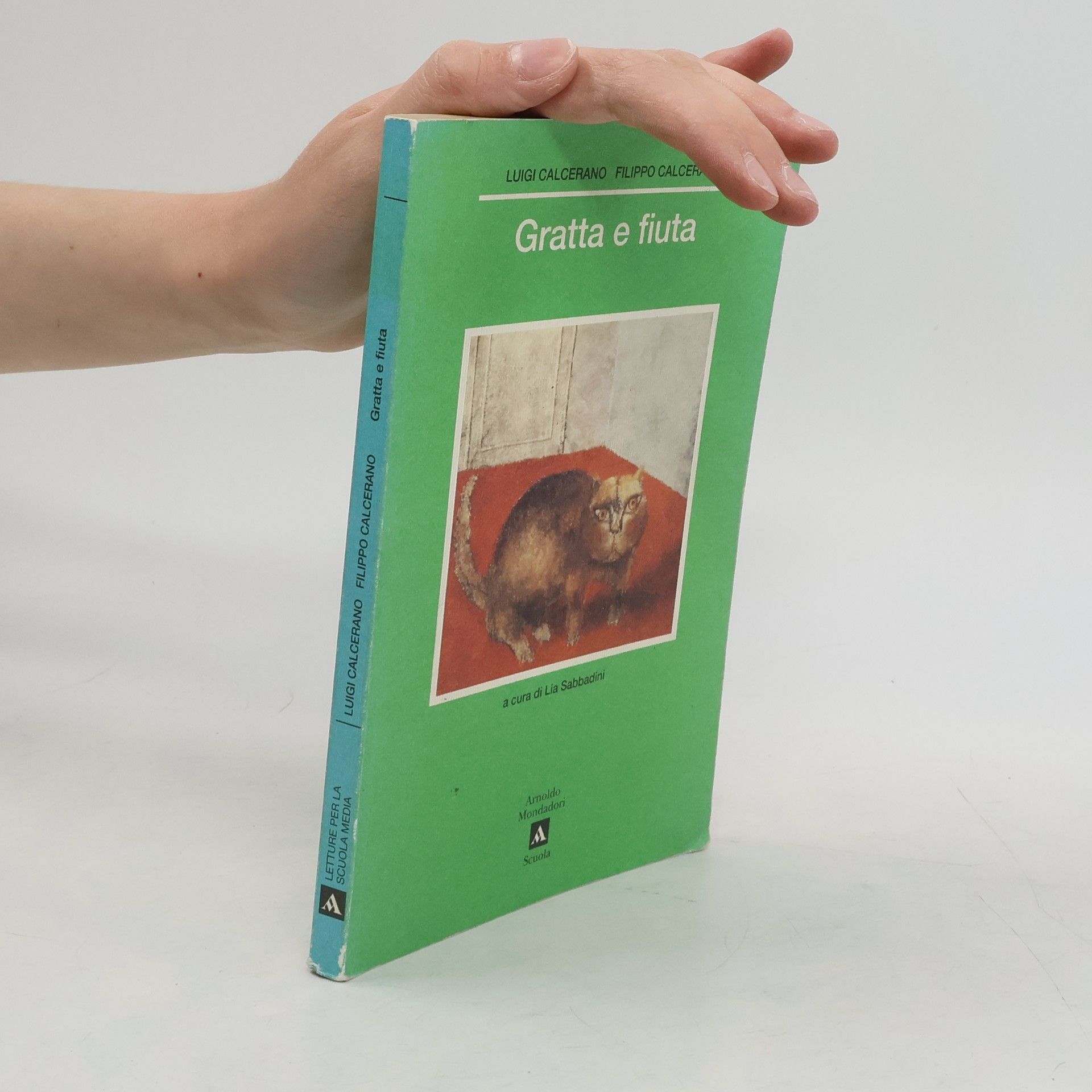 Luigi Calcerano Gratta e fiuta