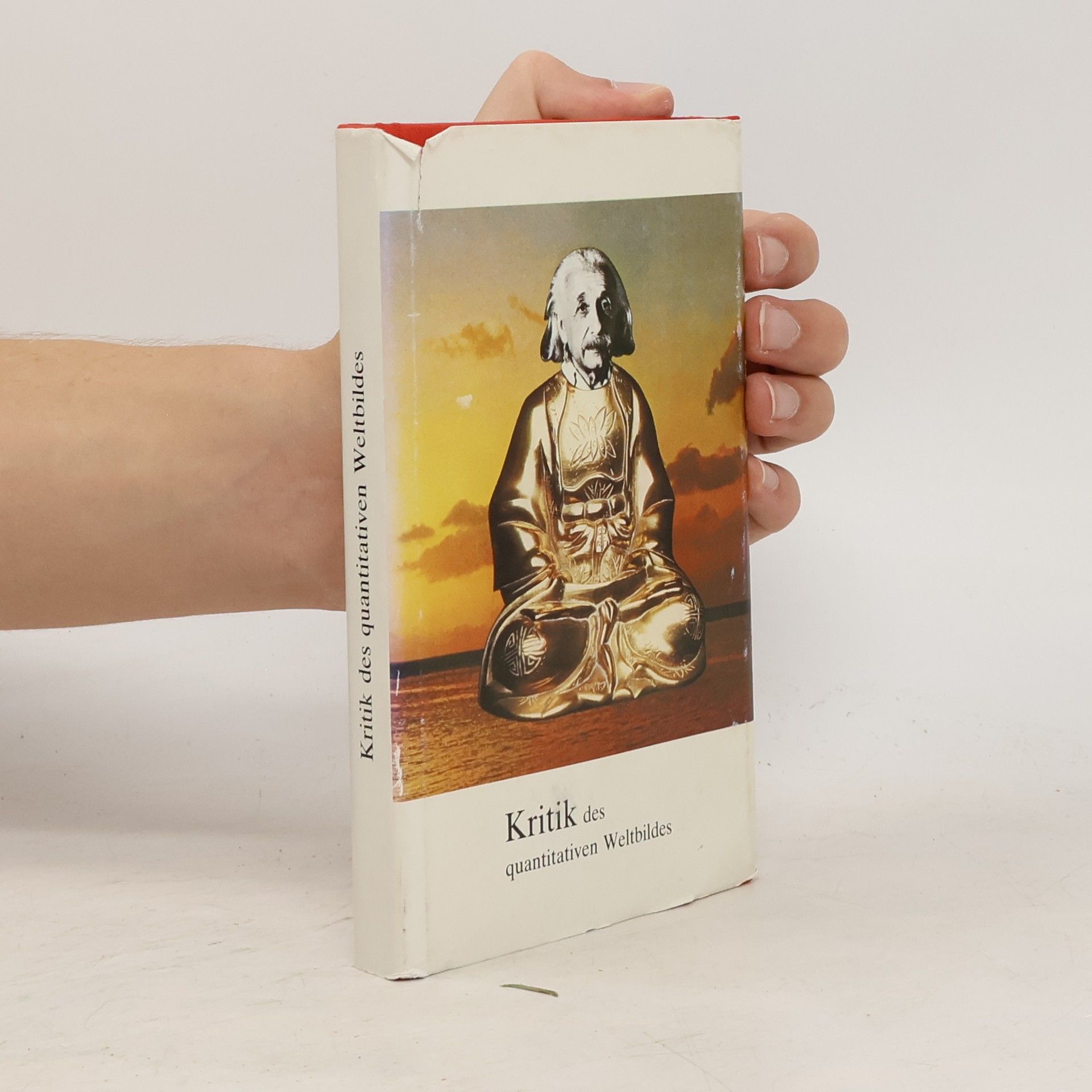 Kritik des quantitativen Weltbildes