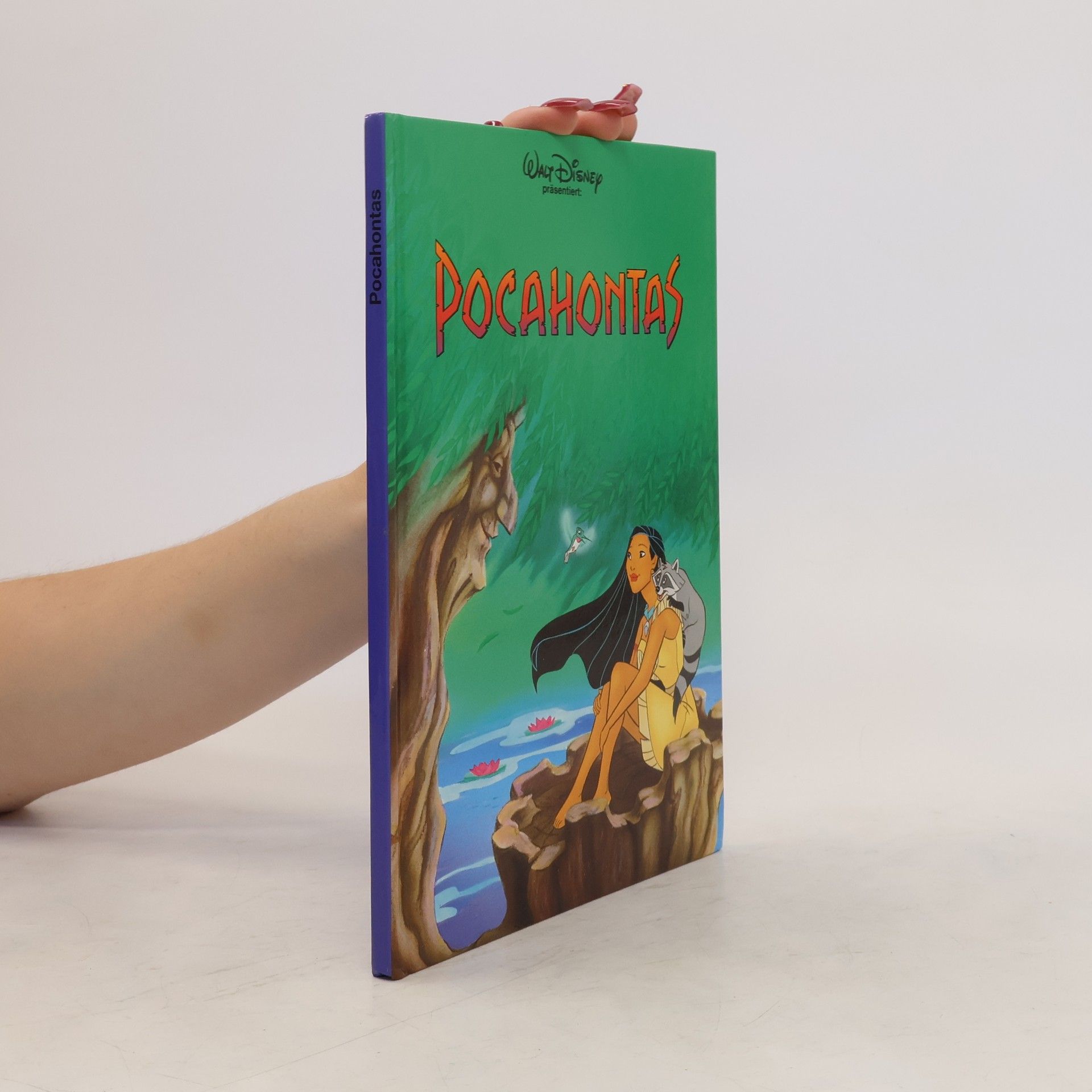 Walt Disney Pocahontas