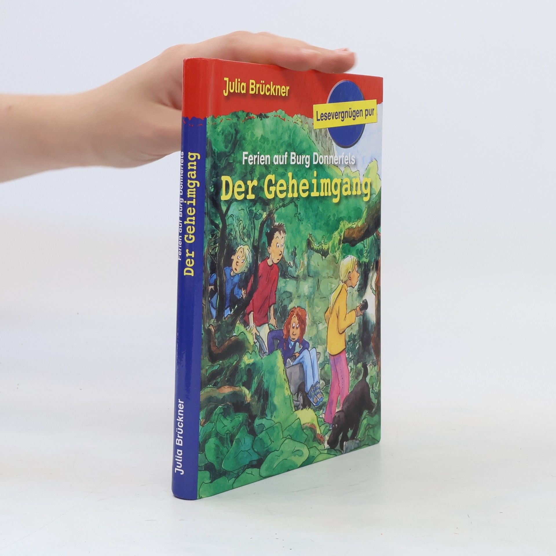 Julia Brückner Ferien auf Burg Donnerfels. Der Geheimgang