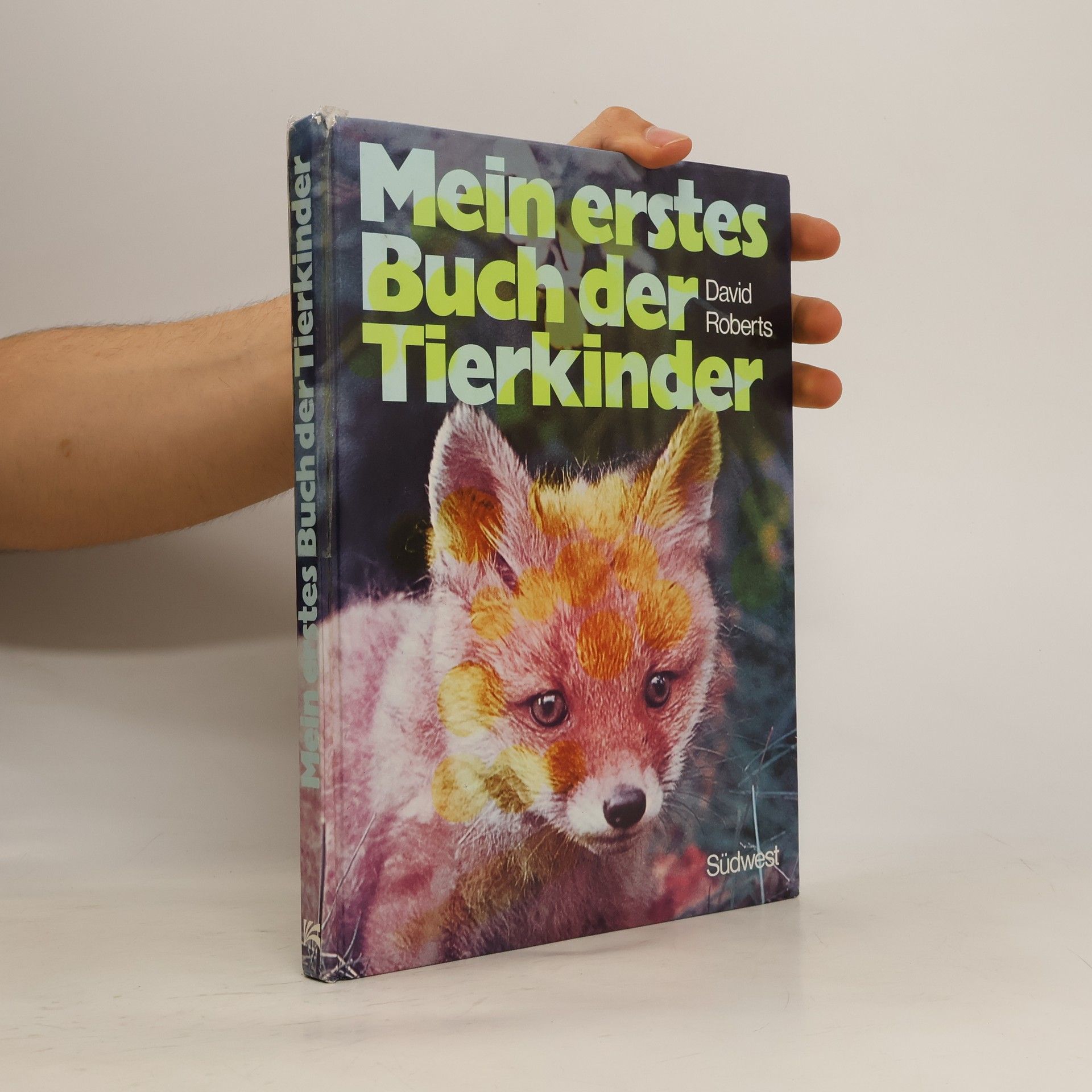 David Roberts Mein erstes Buch der Tierkinder