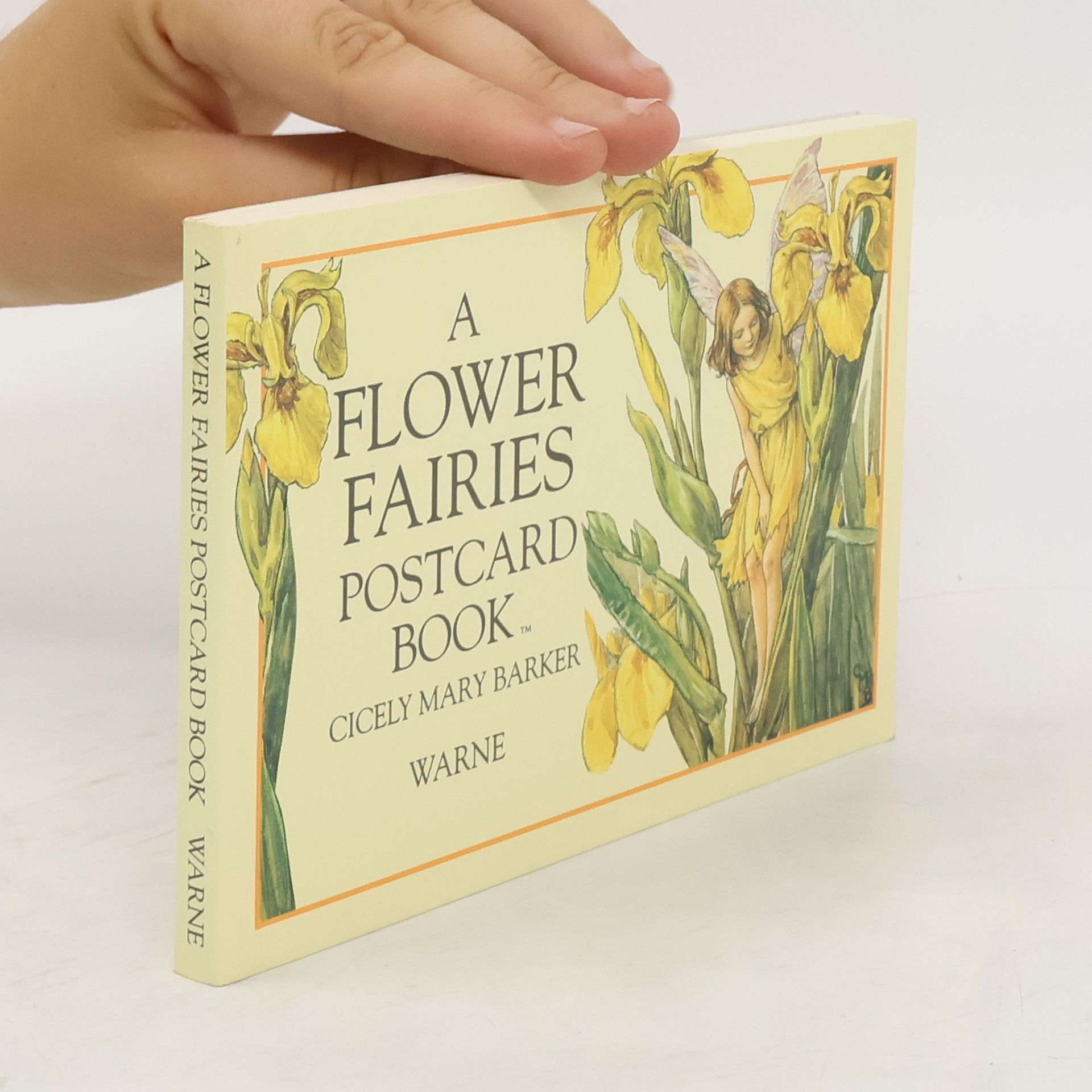 Mary Barker A Flower Fairies Postcard Book