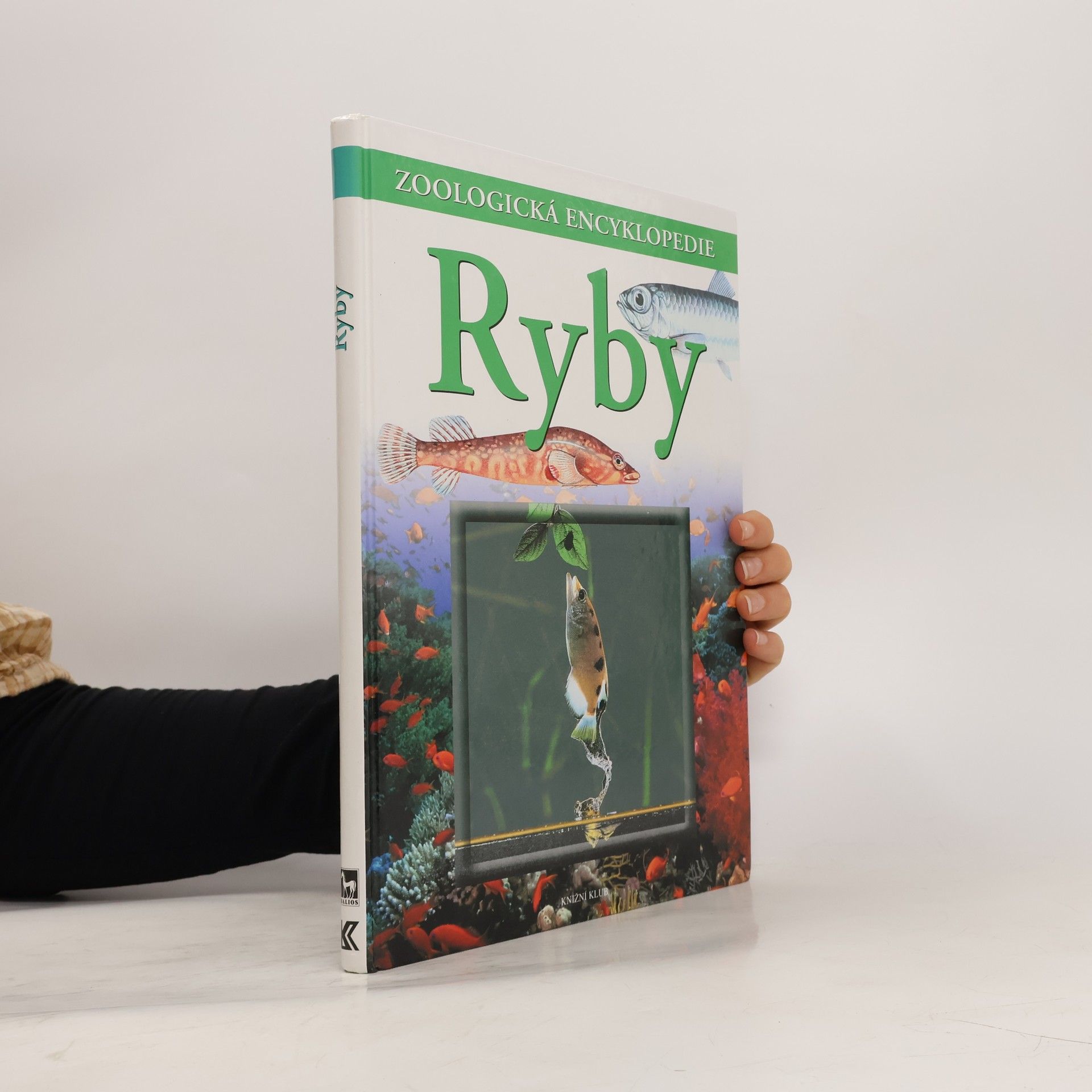 Günter Diesener Ryby