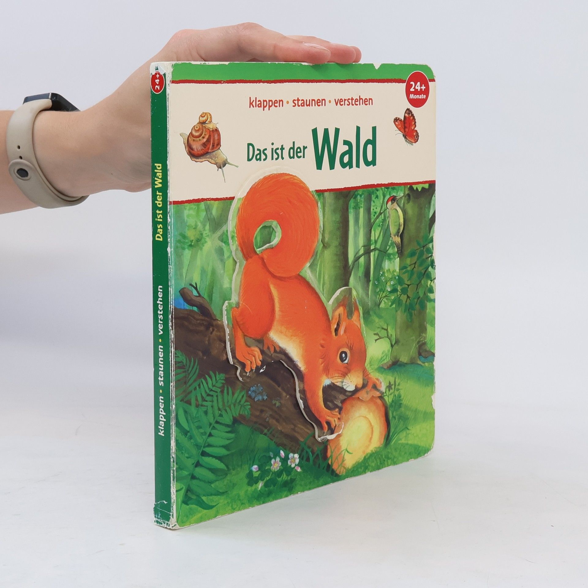 AA.VV. Das ist der Wald