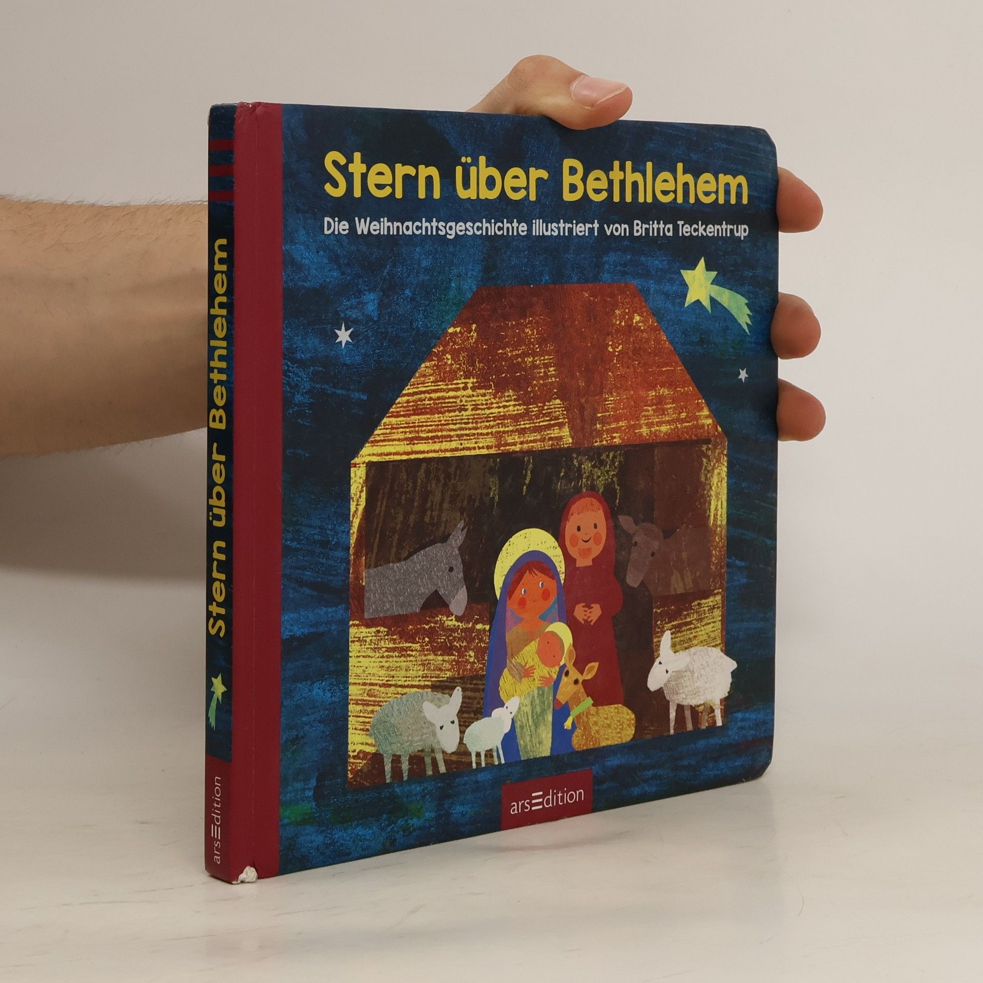 Britta Teckentrup Stern über Bethlehem