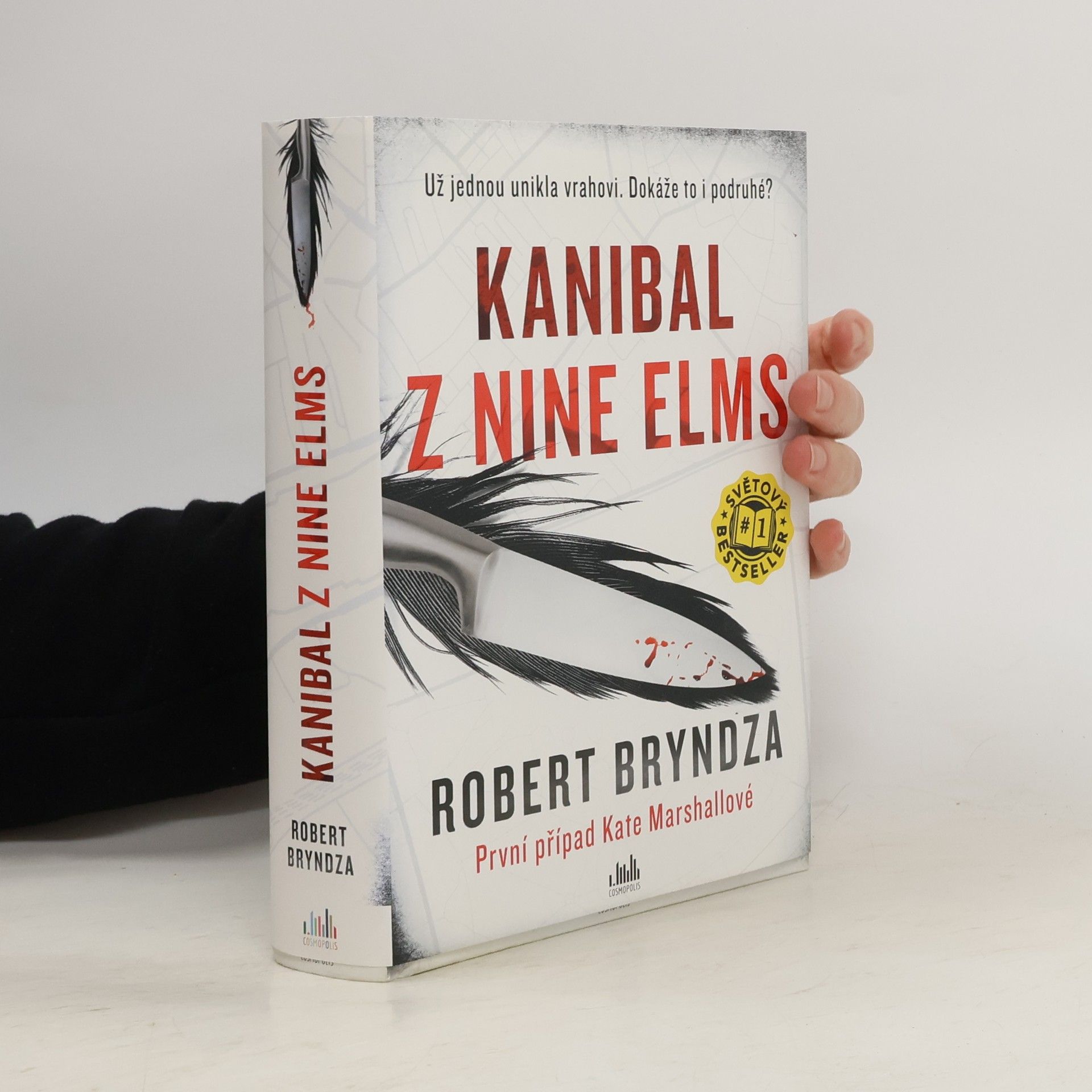 Robert Bryndza Kanibal z Nine Elms