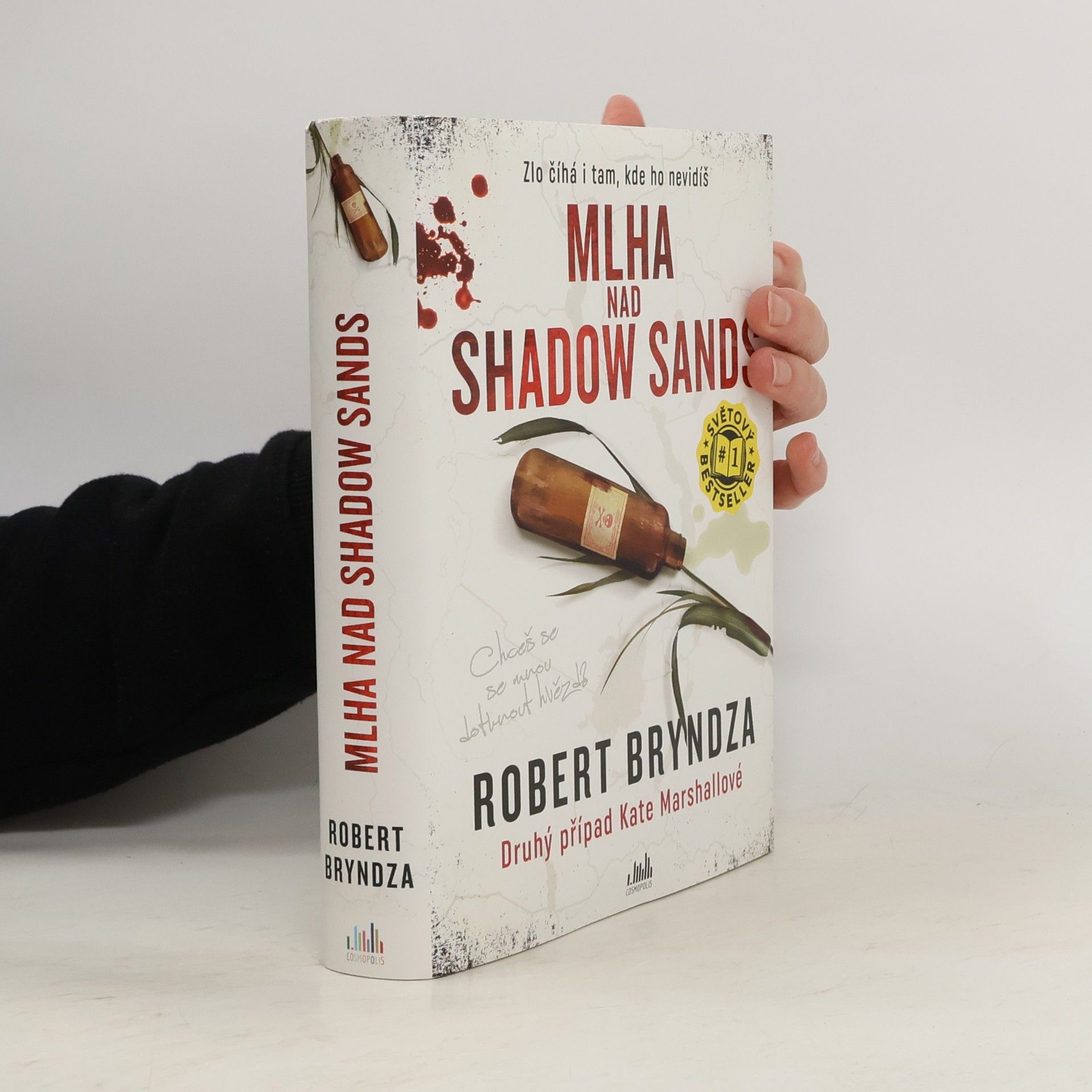 Robert Bryndza Mlha nad Shadow Sands