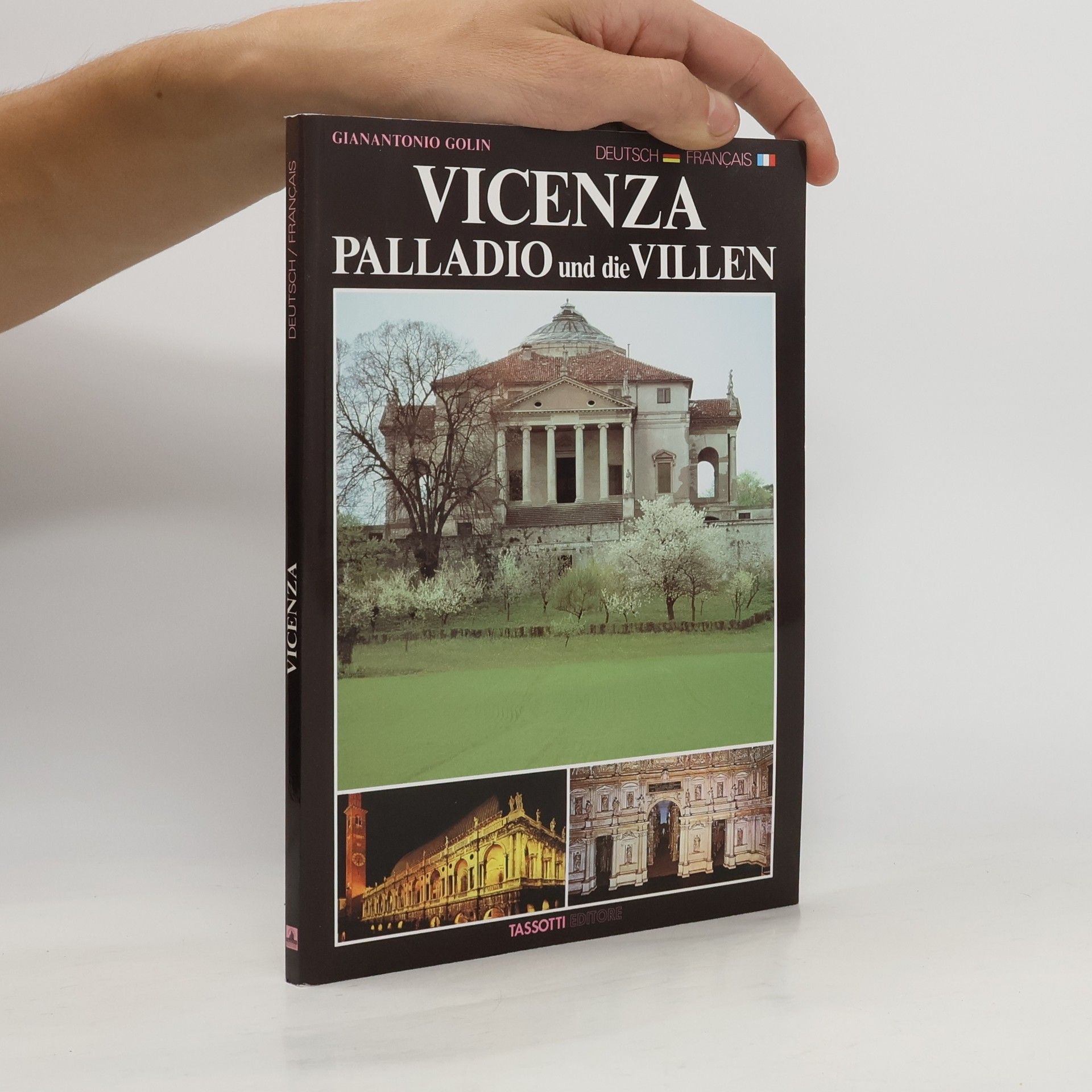 Gianantonio Golin Vicenza : Palladio und die Villen = Vicence : Palladio et les villas