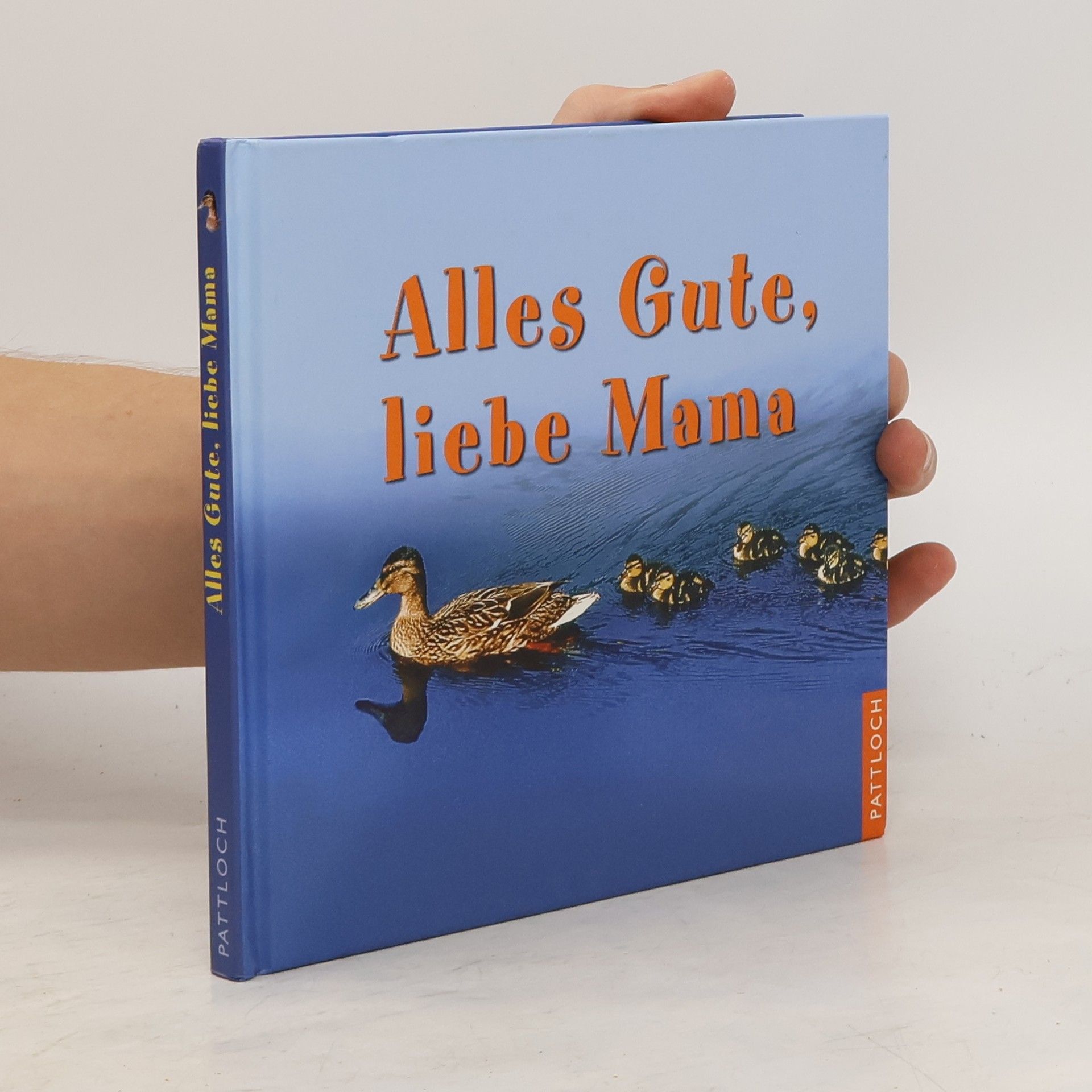 Collectif d'auteurs Alles Gute, liebe Mama