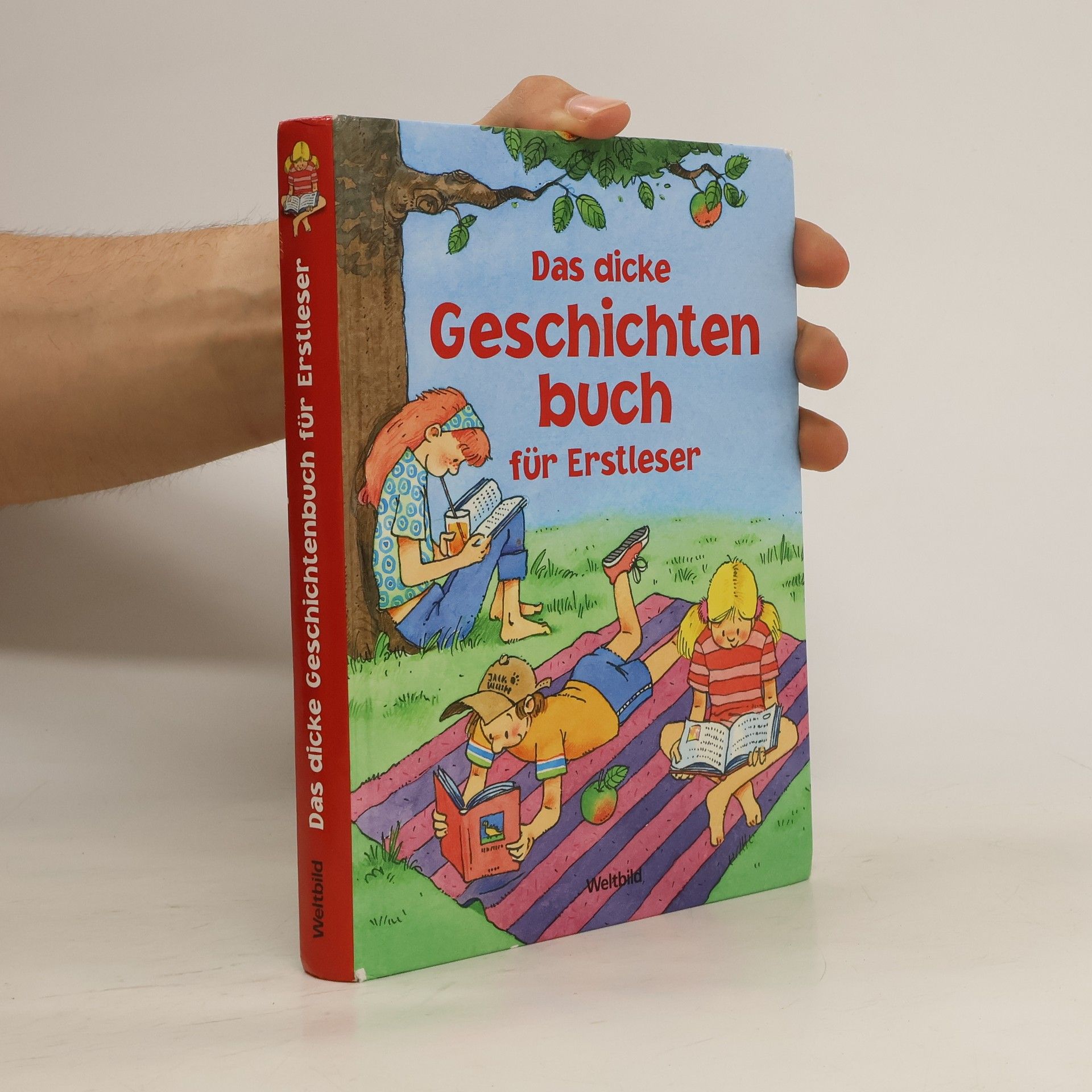 Various authors Das dicke Geschichtenbuch für Erstleser