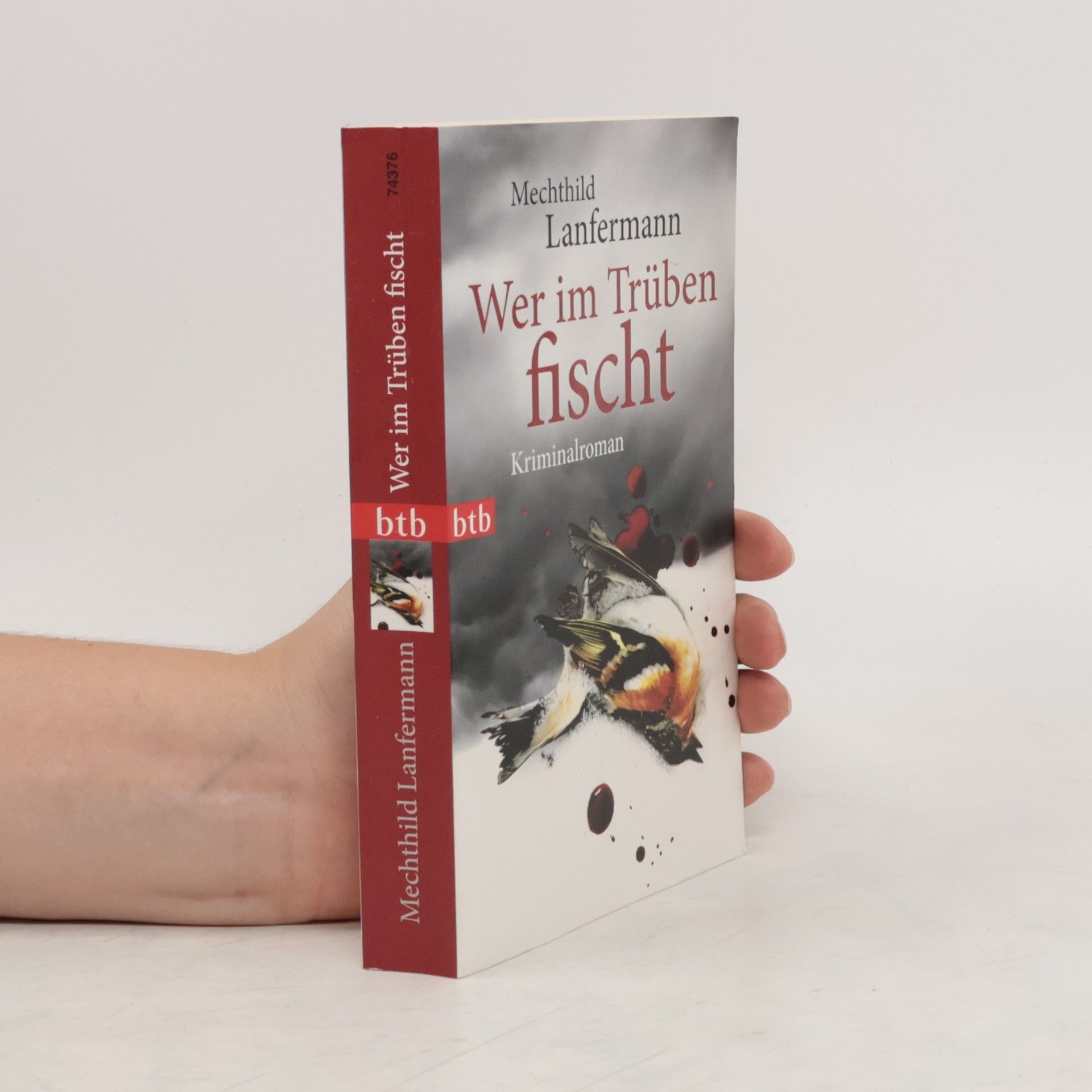 Mechthild Lanfermann Wer im Trüben fischt