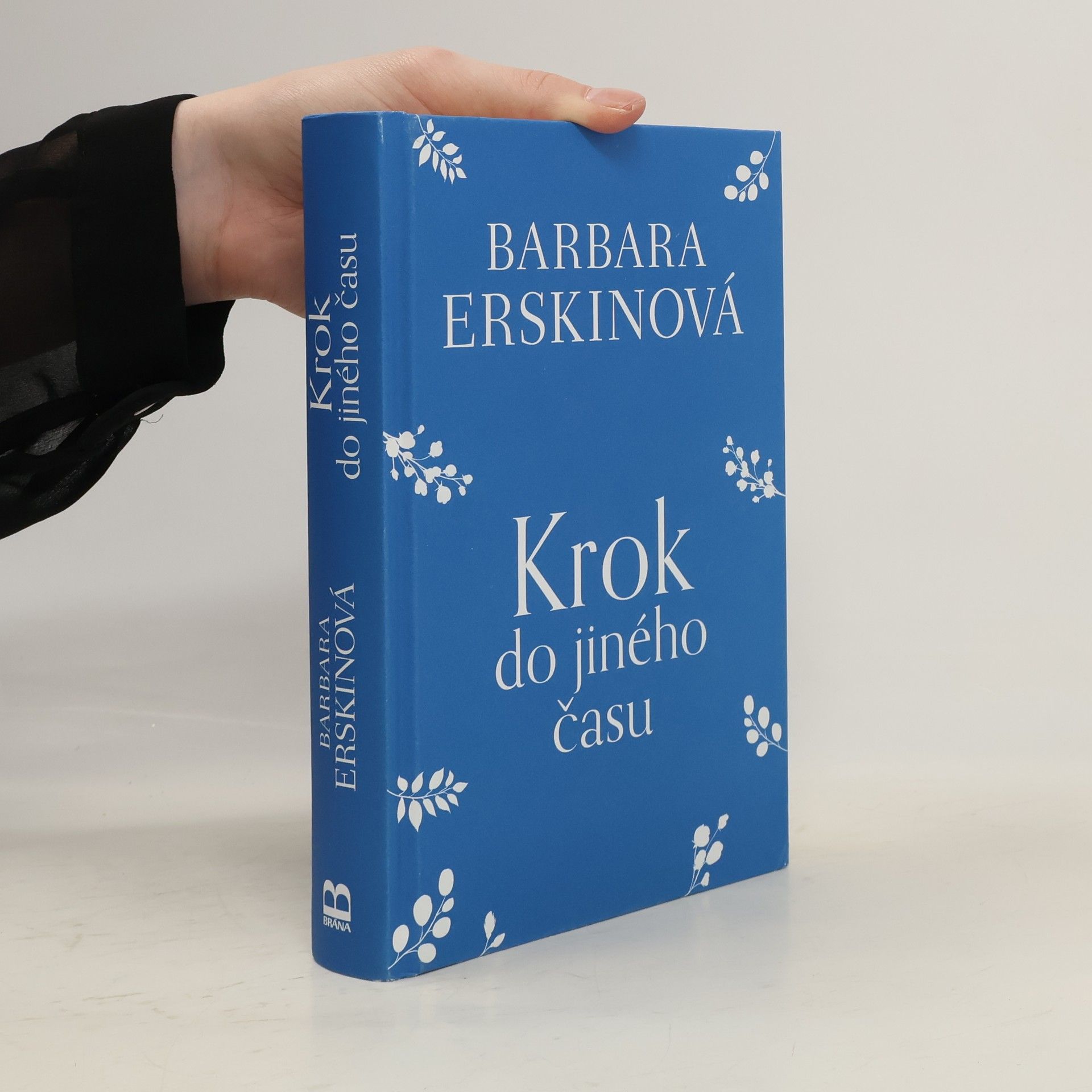 Barbara Erskinová Krok do jiného času