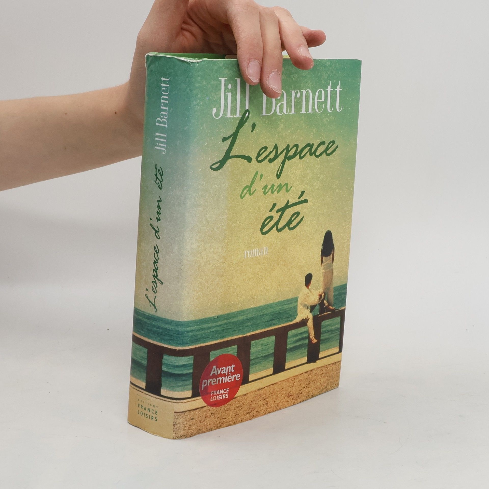 James Siegel L'espace d'un été