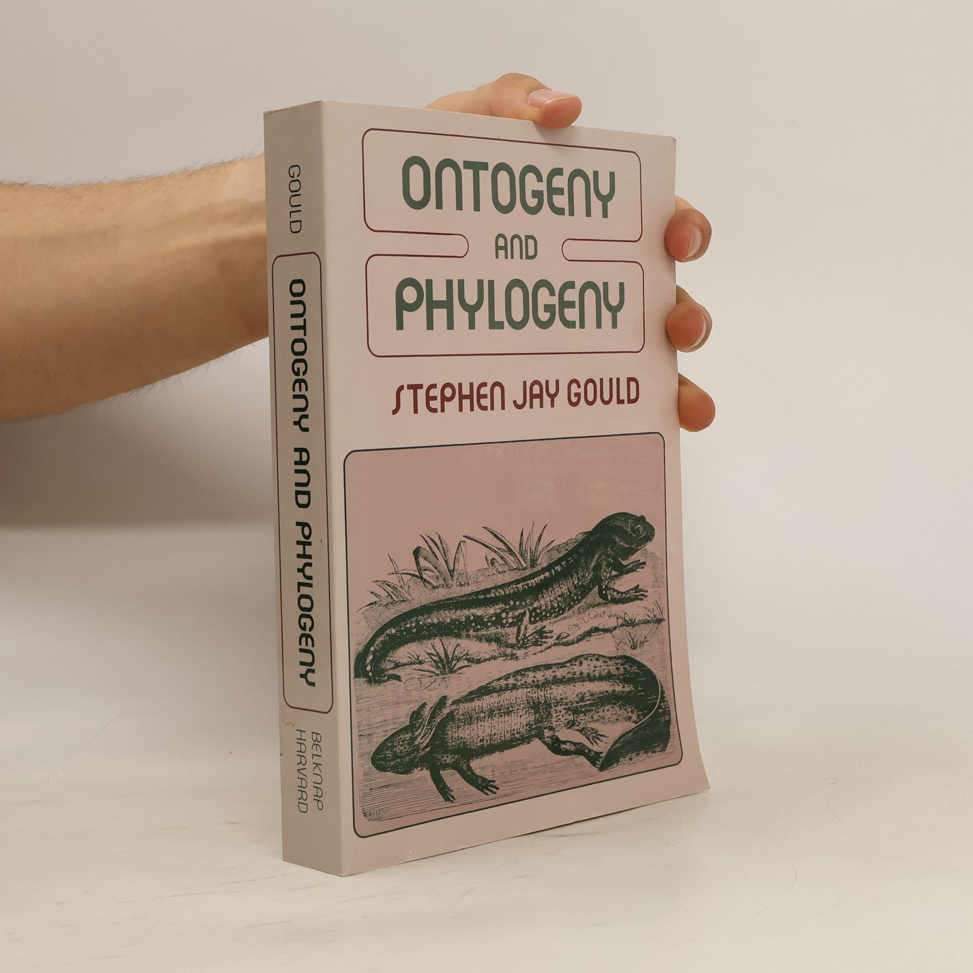 Gould Stephen Jay Ontogeny and Phylogeny