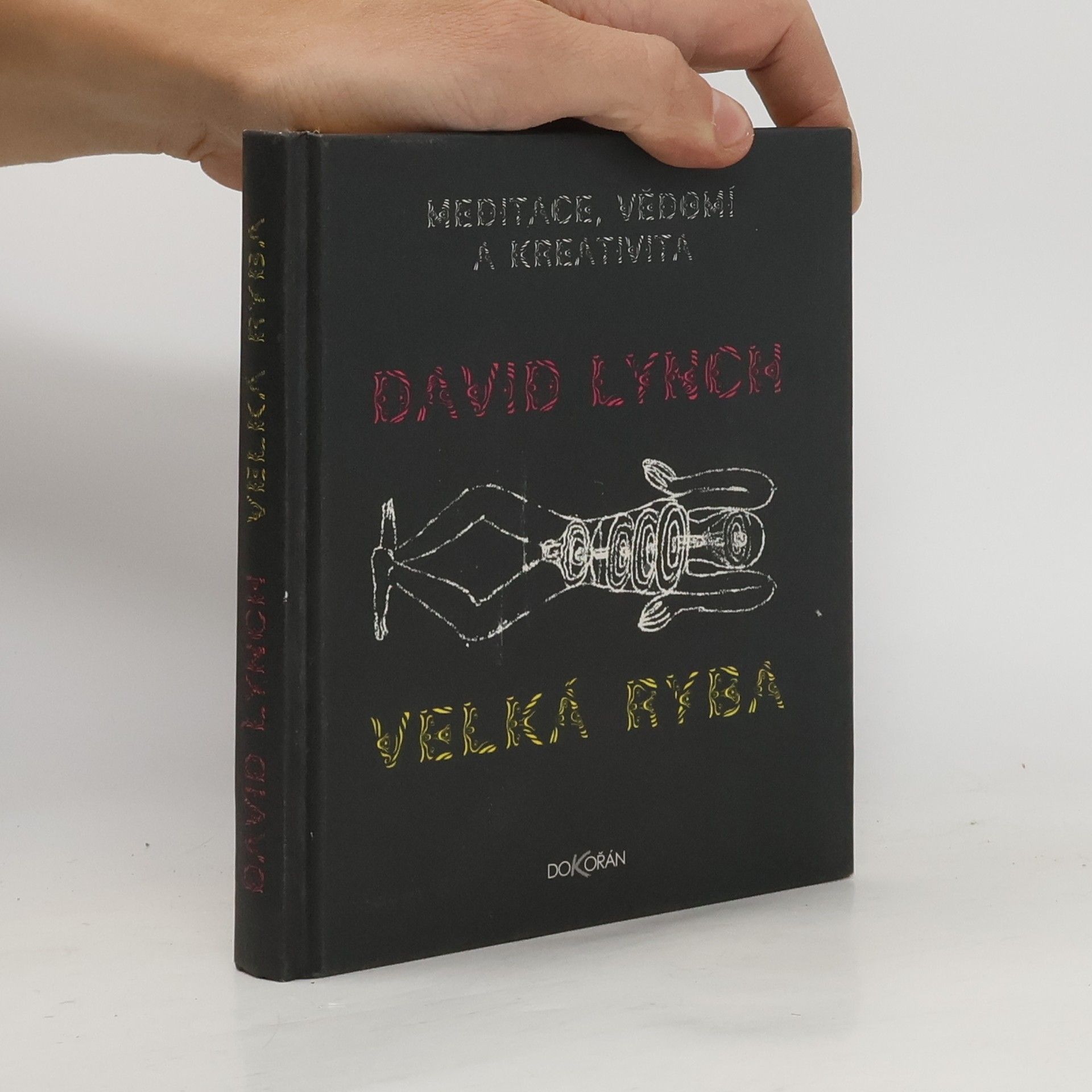 David Lynch Velká ryba: Meditace, vědomí a kreativita