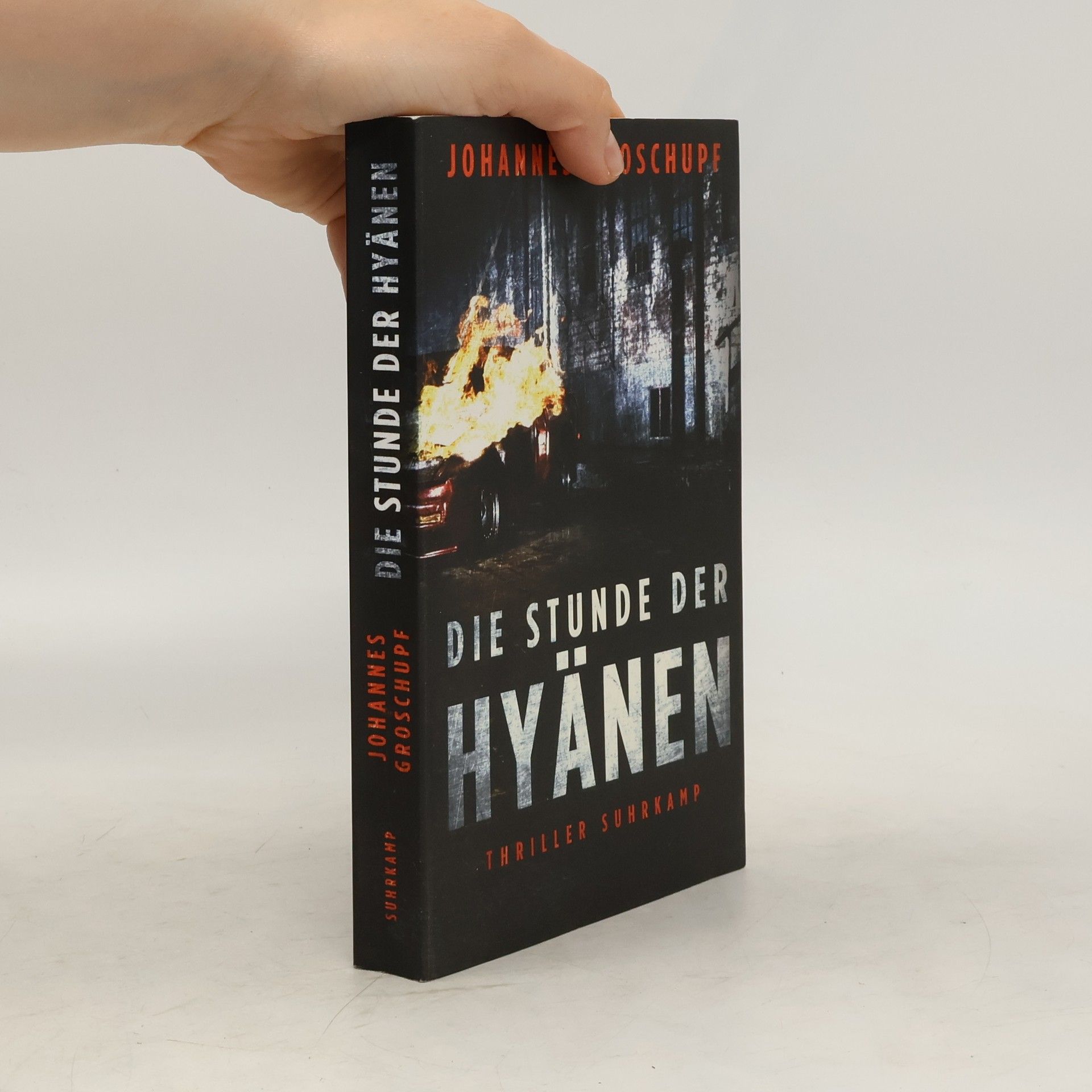 Johannes Groschupf Die Stunde der Hyänen