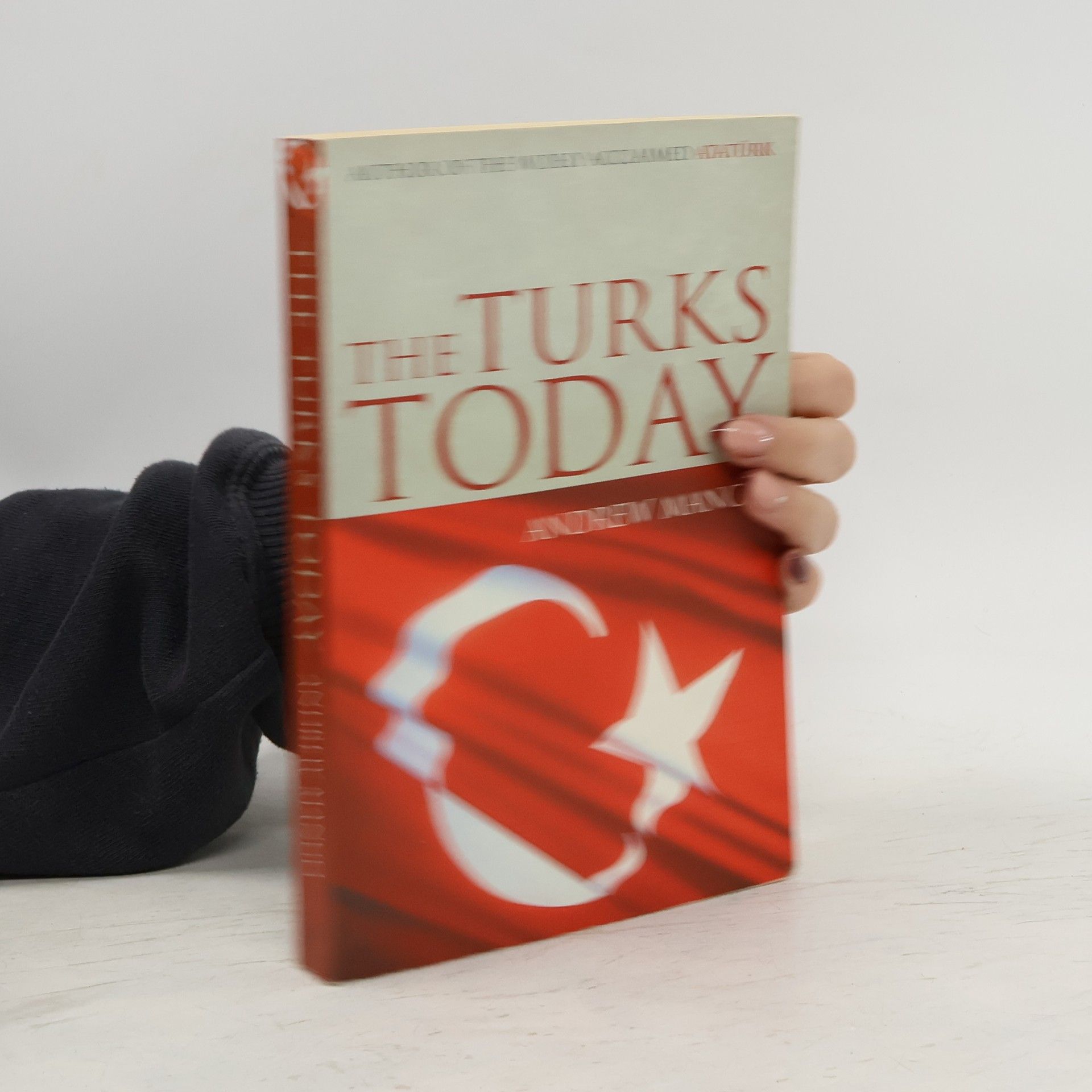 Andrew Mango The Turks today