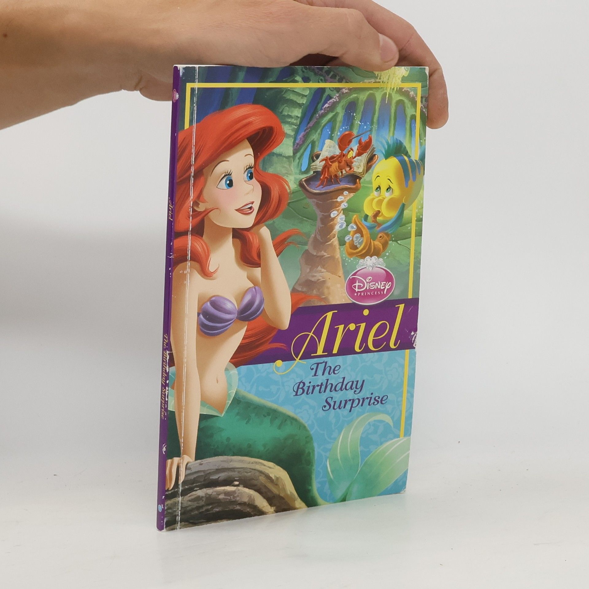 Collectif d'auteurs Ariel