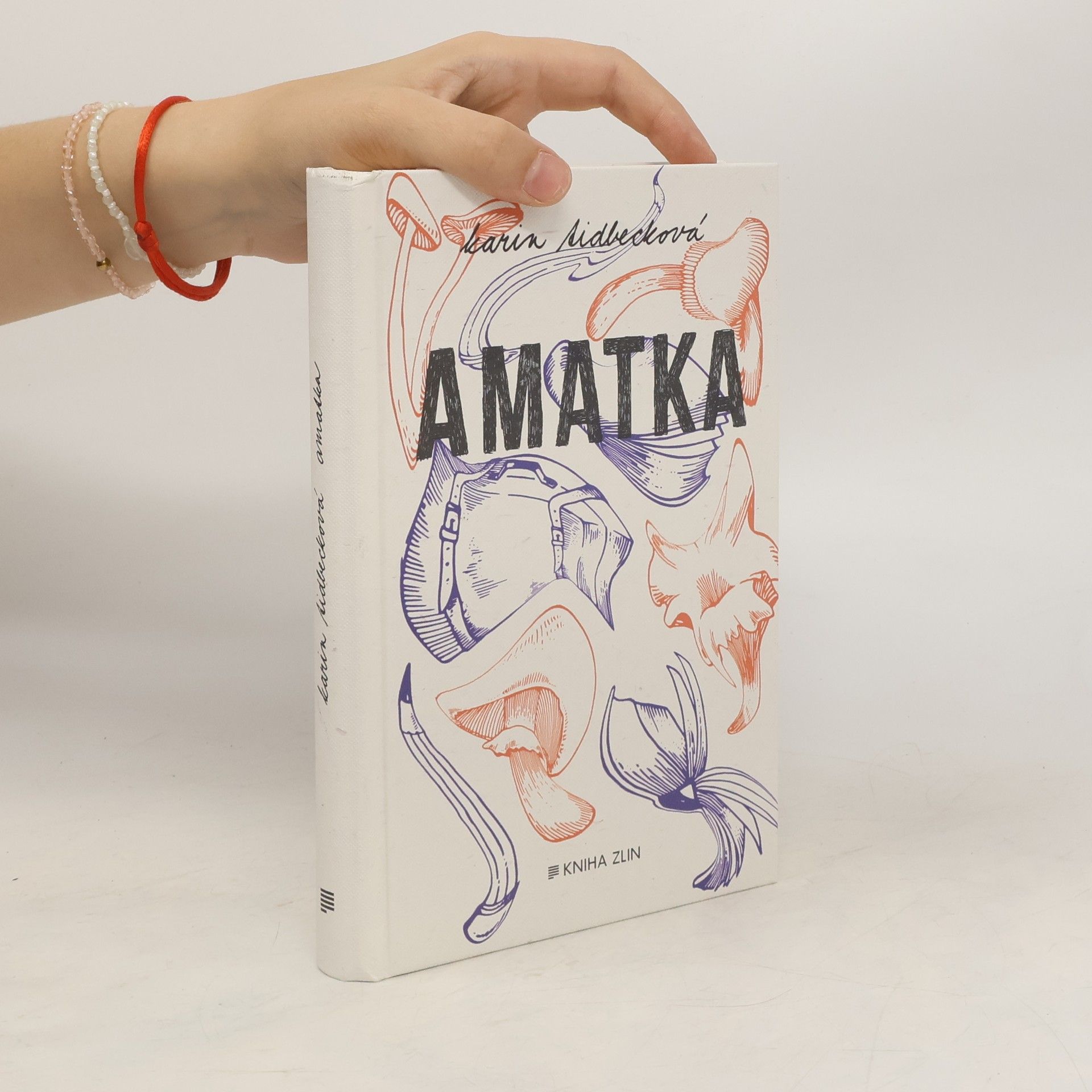 Karin Tidbeck Amatka