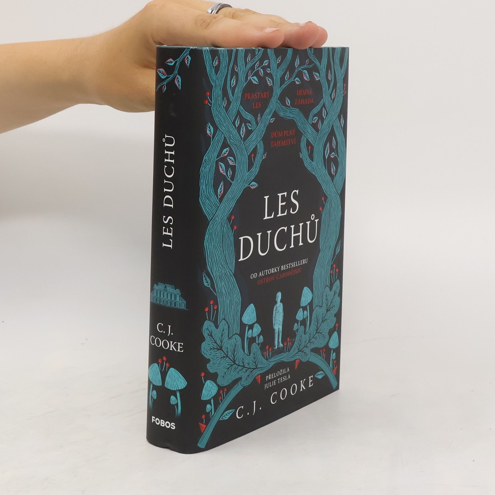 Carolyn Jess Cooke Les duchů