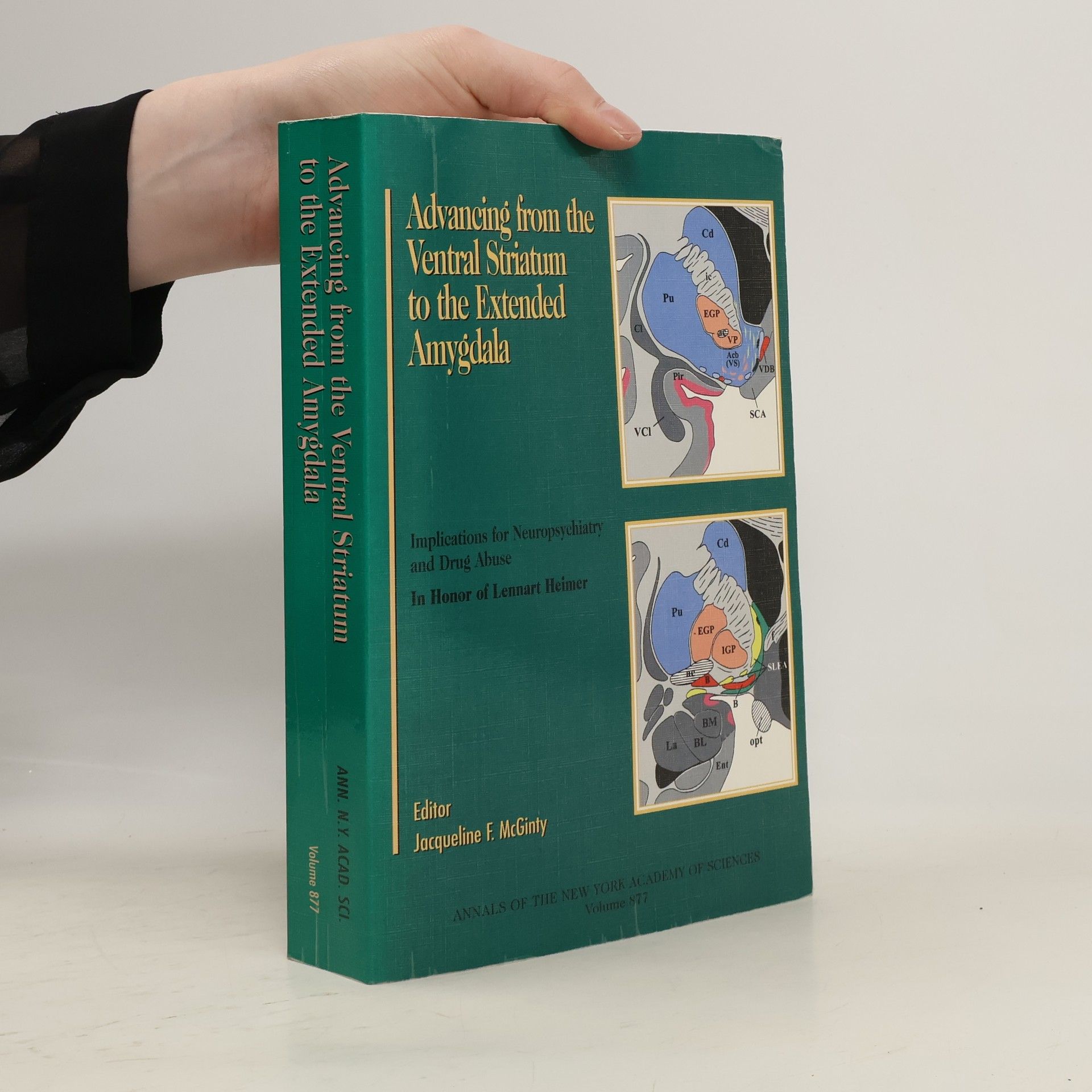 Jacqueline F. McGinty Advancing from the Ventral Striatum to the Extended Amygdala