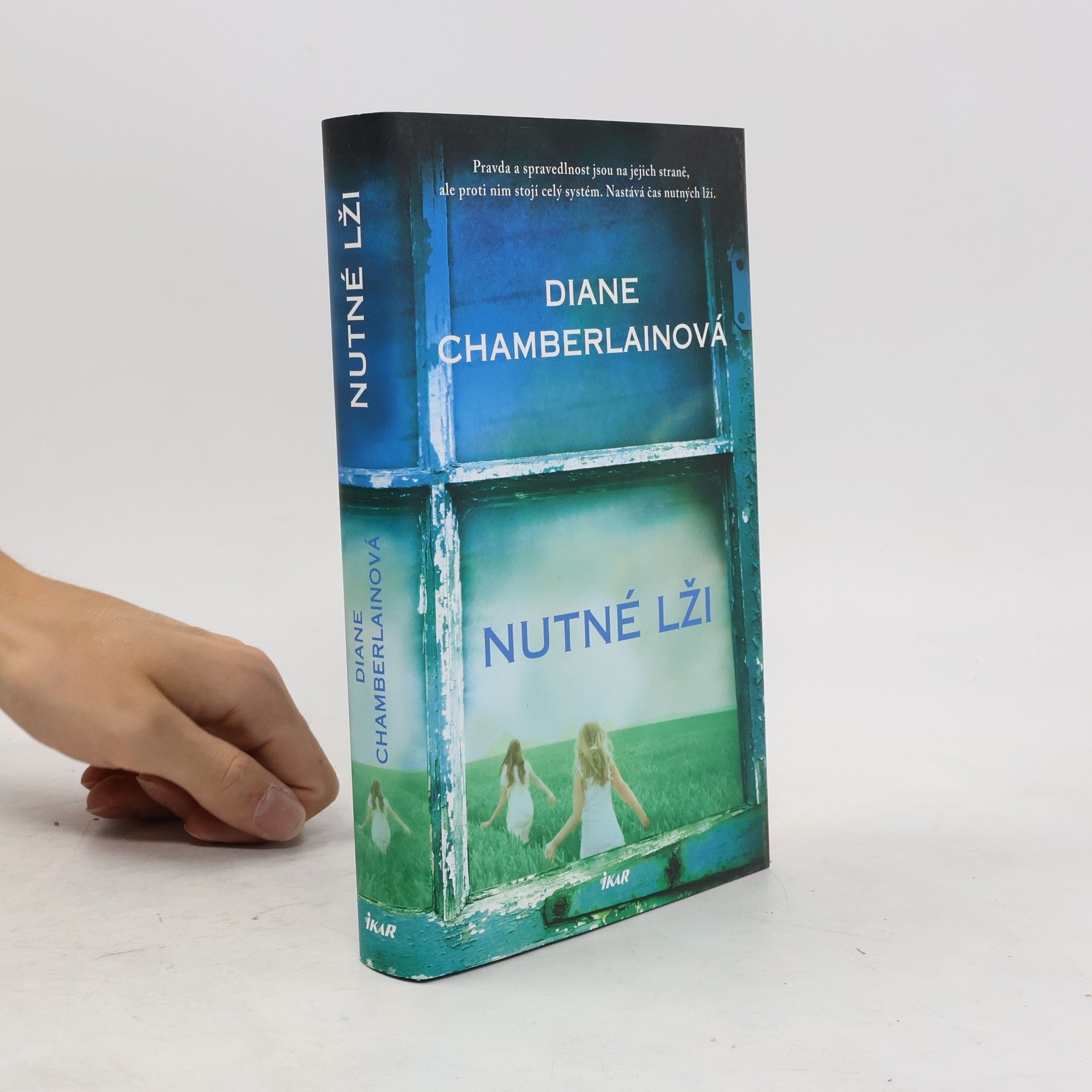 Diane Chamberlain Nutné lži