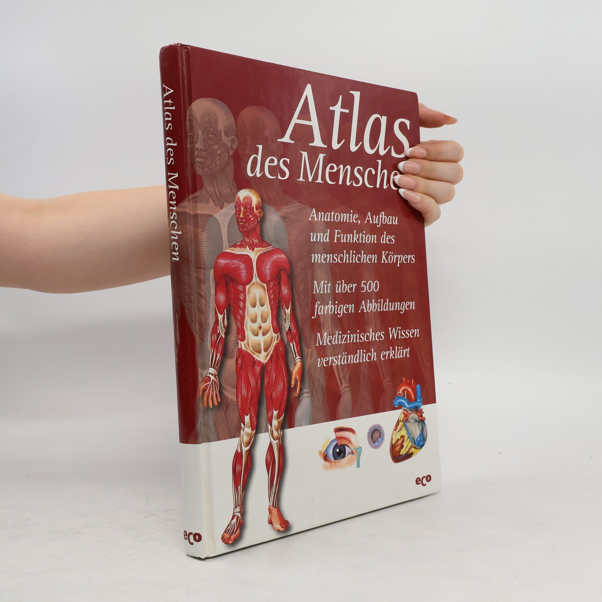 Michael Damm Atlas des Menschen