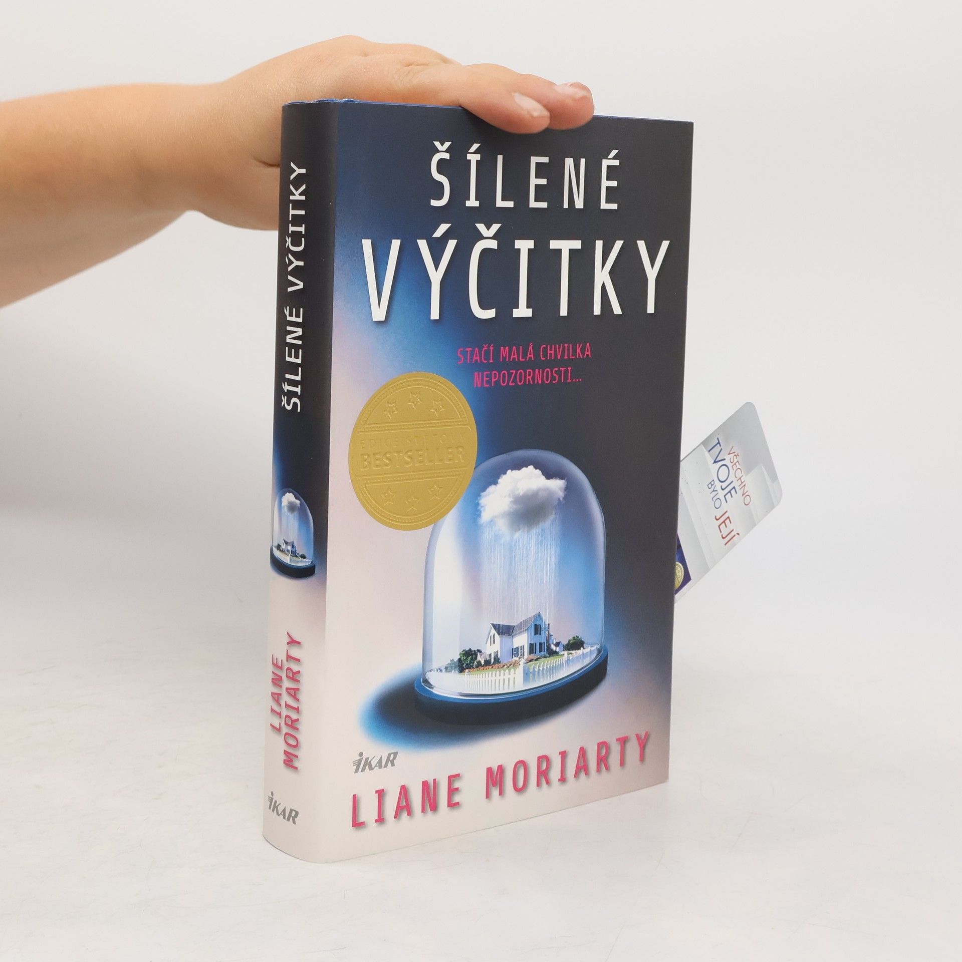 Liane Moriarty Šílené výčitky