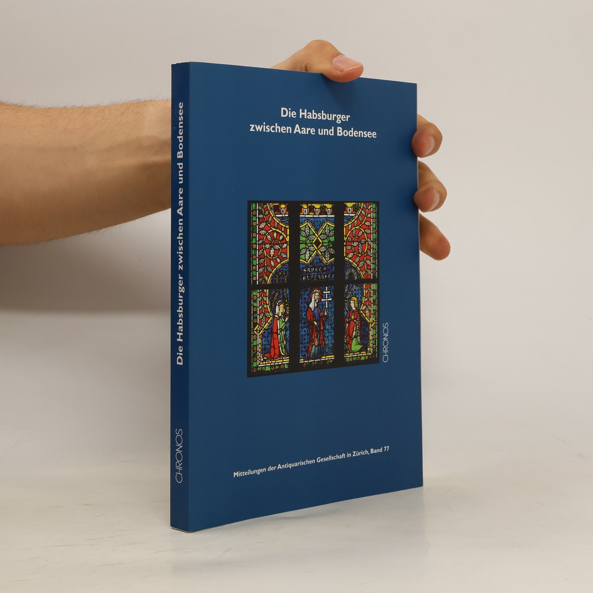 Peter Niederhäuser Die Habsburger zwischen Aare und Bodensee