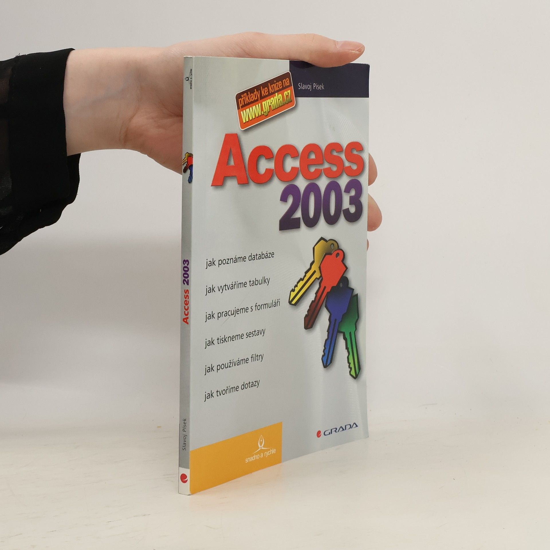 Slavoj Písek Access 2003. Jak poznáme databáze, jak vytváříme tabulky, jak pracujeme s formuláři, jak tiskneme sestavy, jak používáme filtry, jak tvoříme dotazy