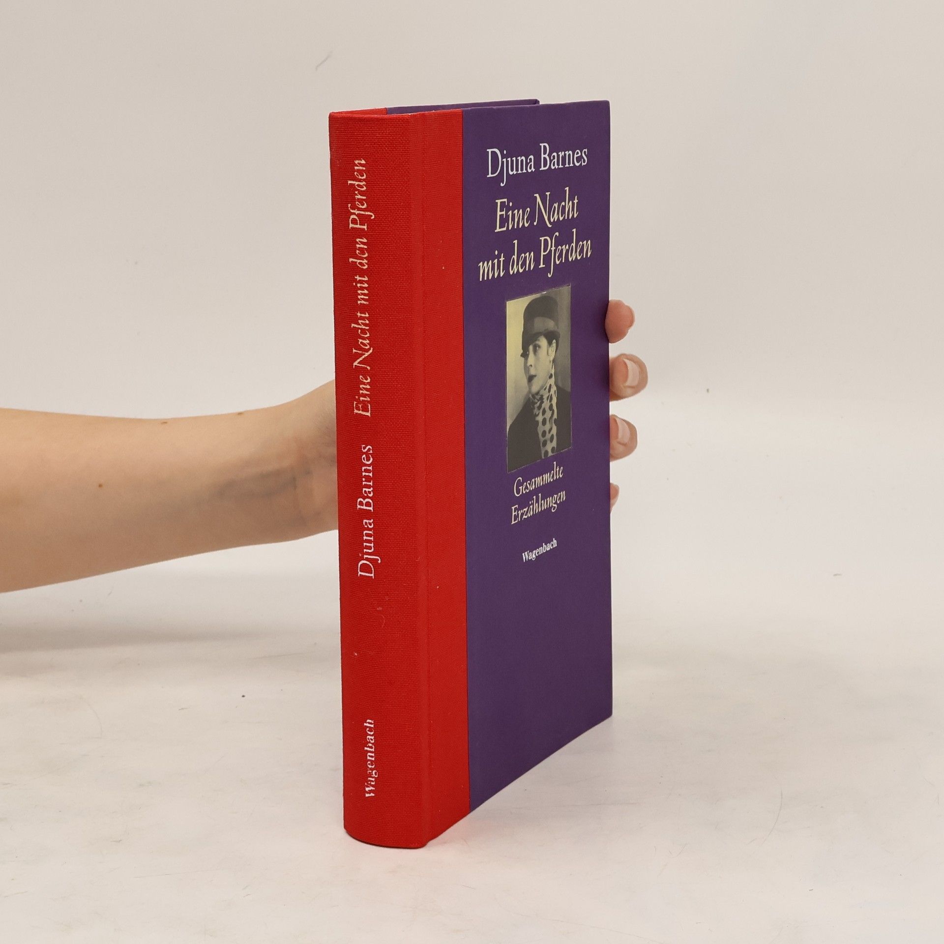 Djuna Barnes Eine Nacht mit den Pferden. Gesammelte Erzählungen