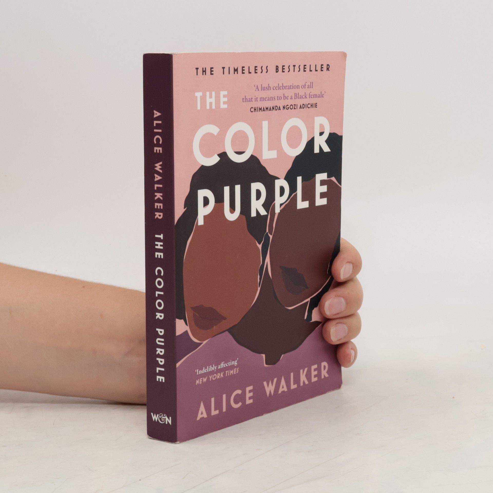 Alice Walker The Color Purple