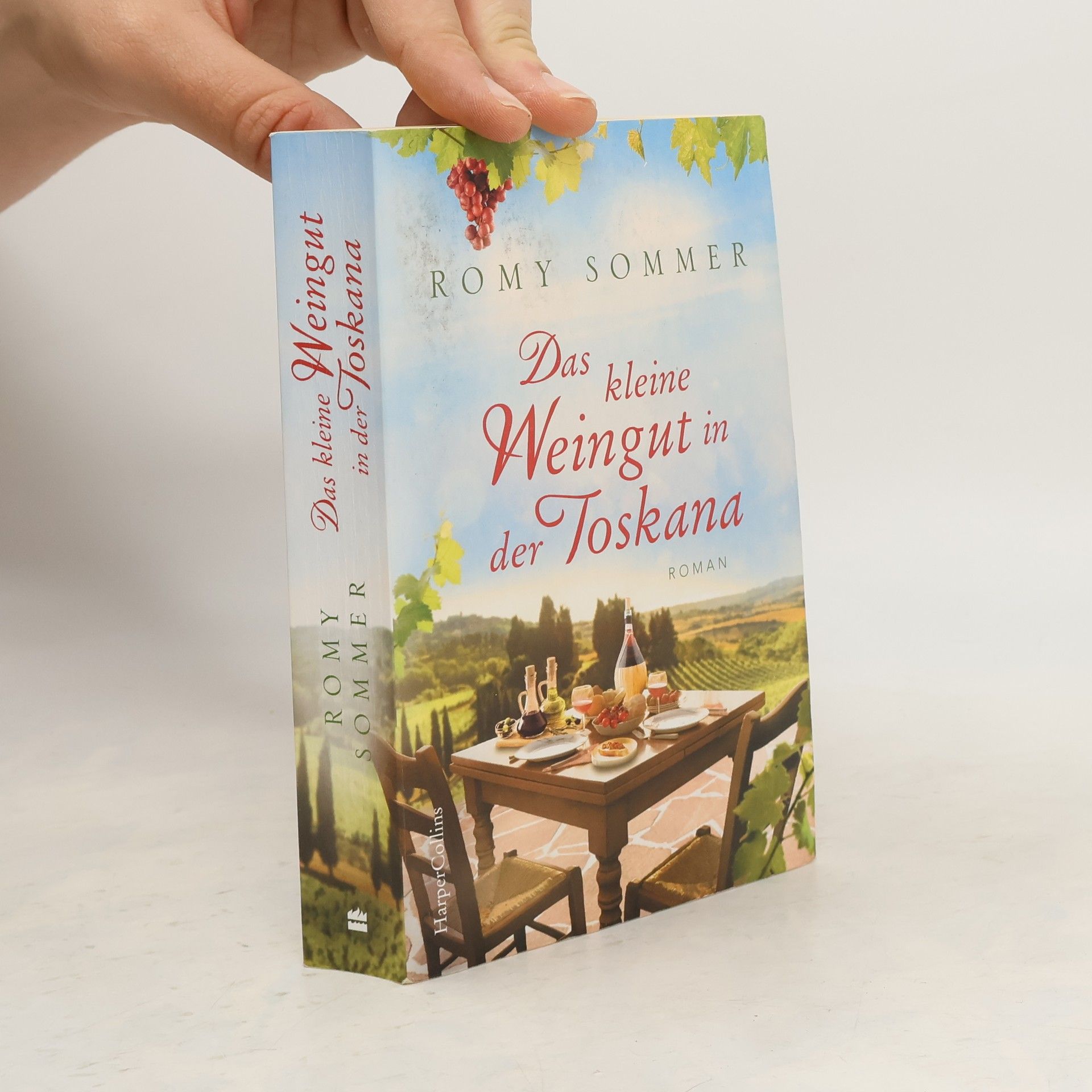 Romy Sommer Das kleine Weingut in der Toskana