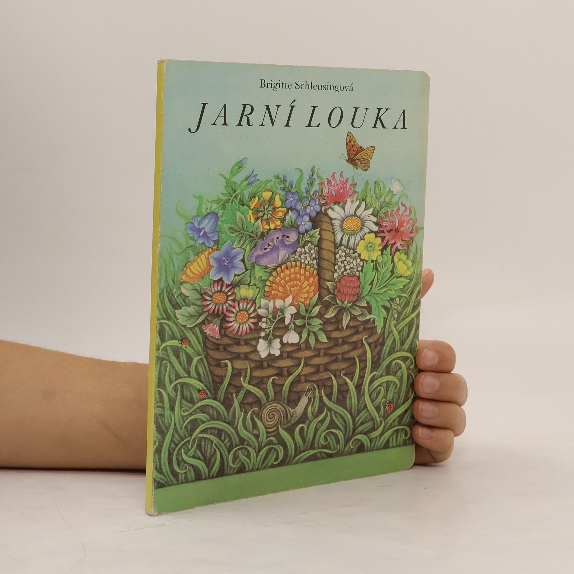 Jarní louka