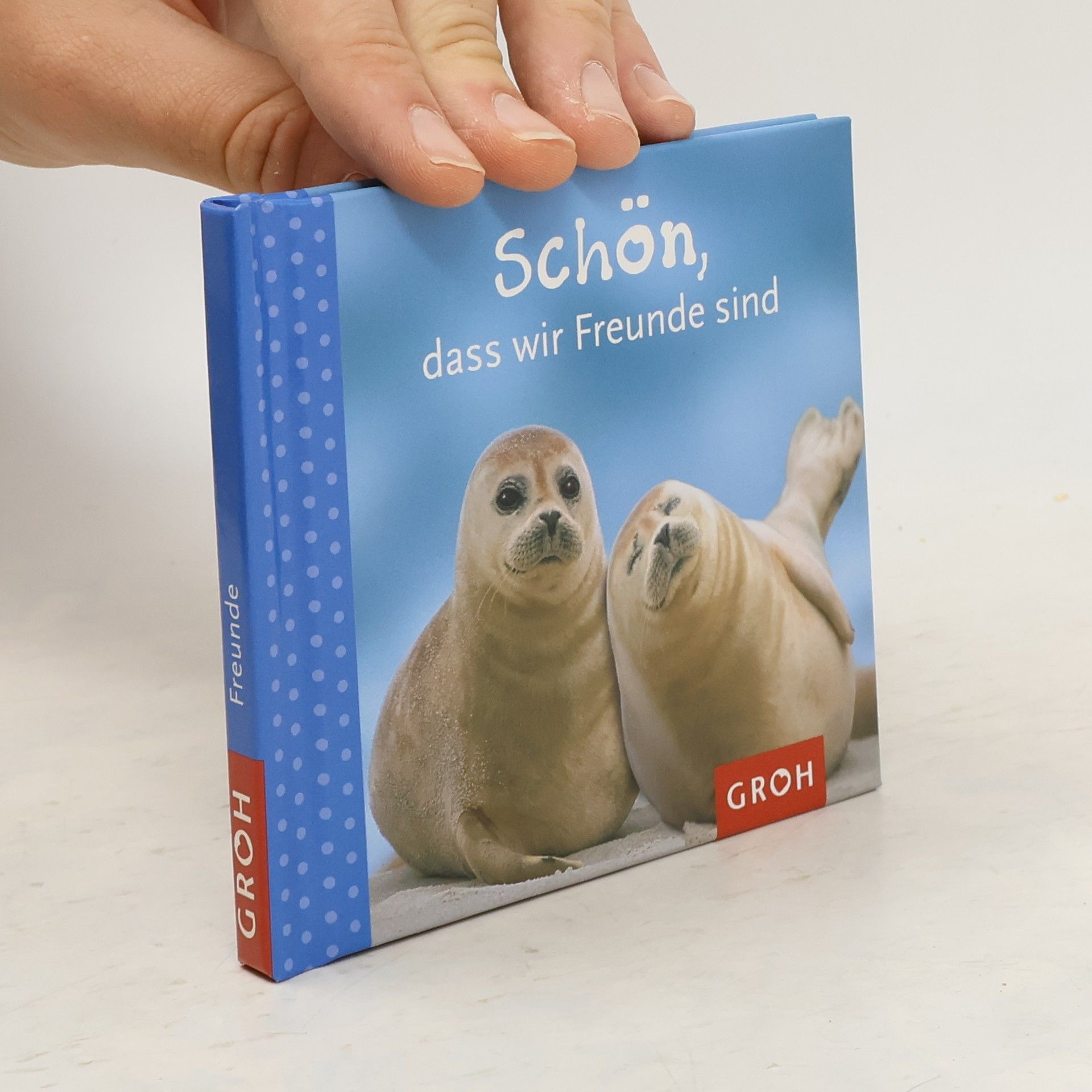 kolektiv Schön, dass wir Freunde sind