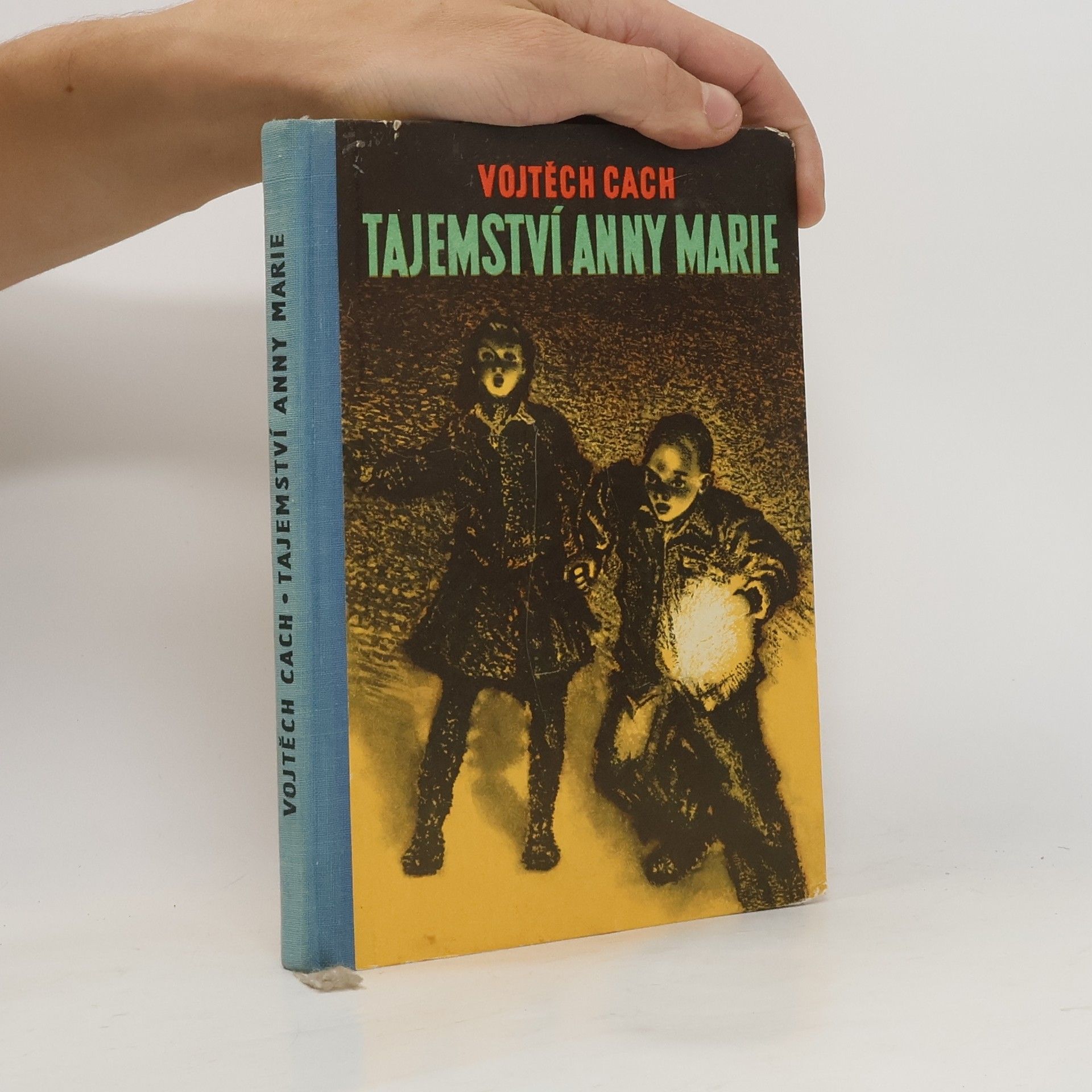 Vojtěch Cach Tajemství Anny Marie