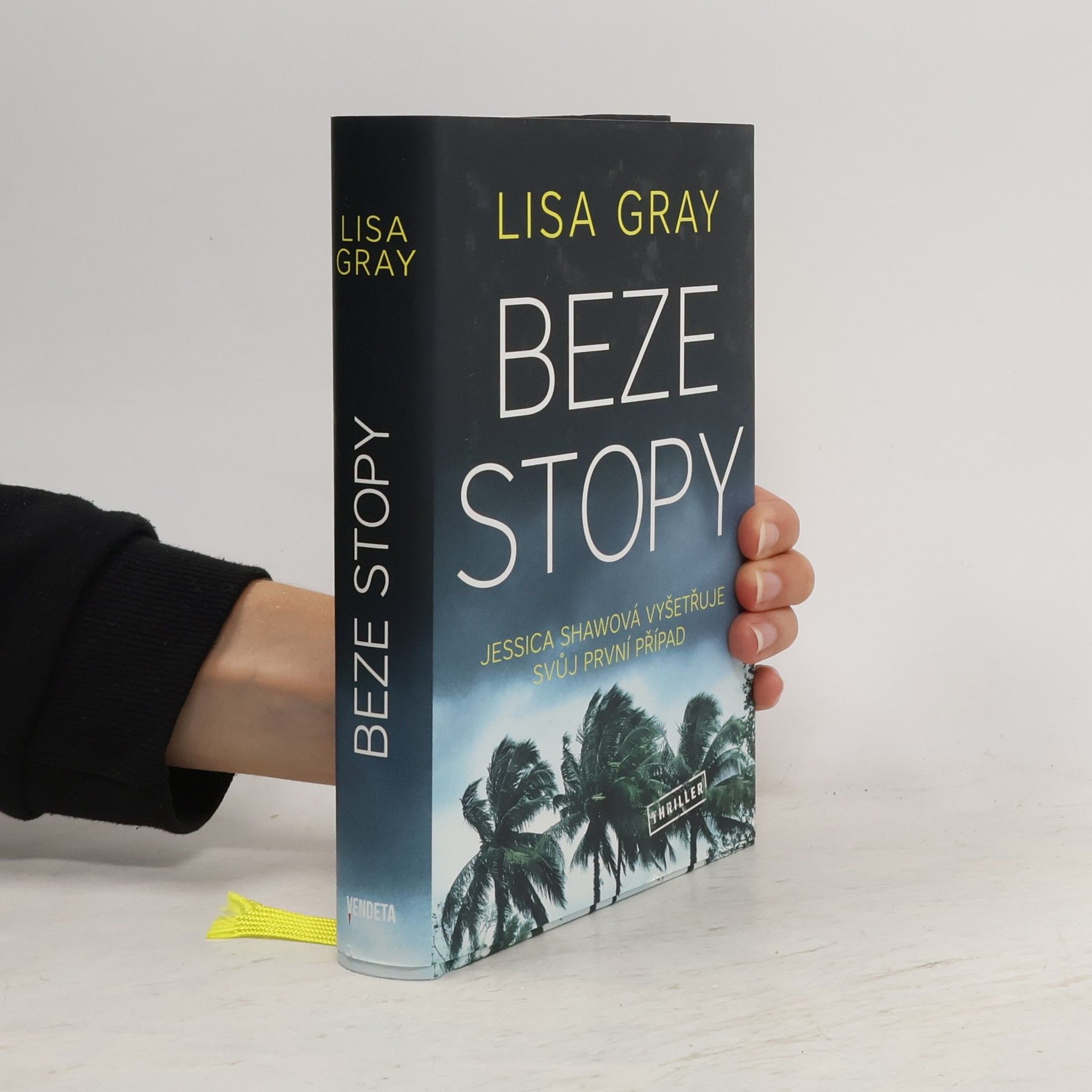 Lisa Gray Beze stopy
